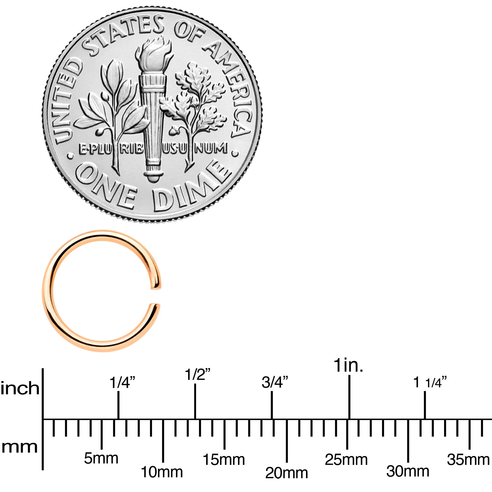 18G 5/16 Steel Rose Gold Tone Anodized Seamless Circular Ring Set of 12 - Image 3