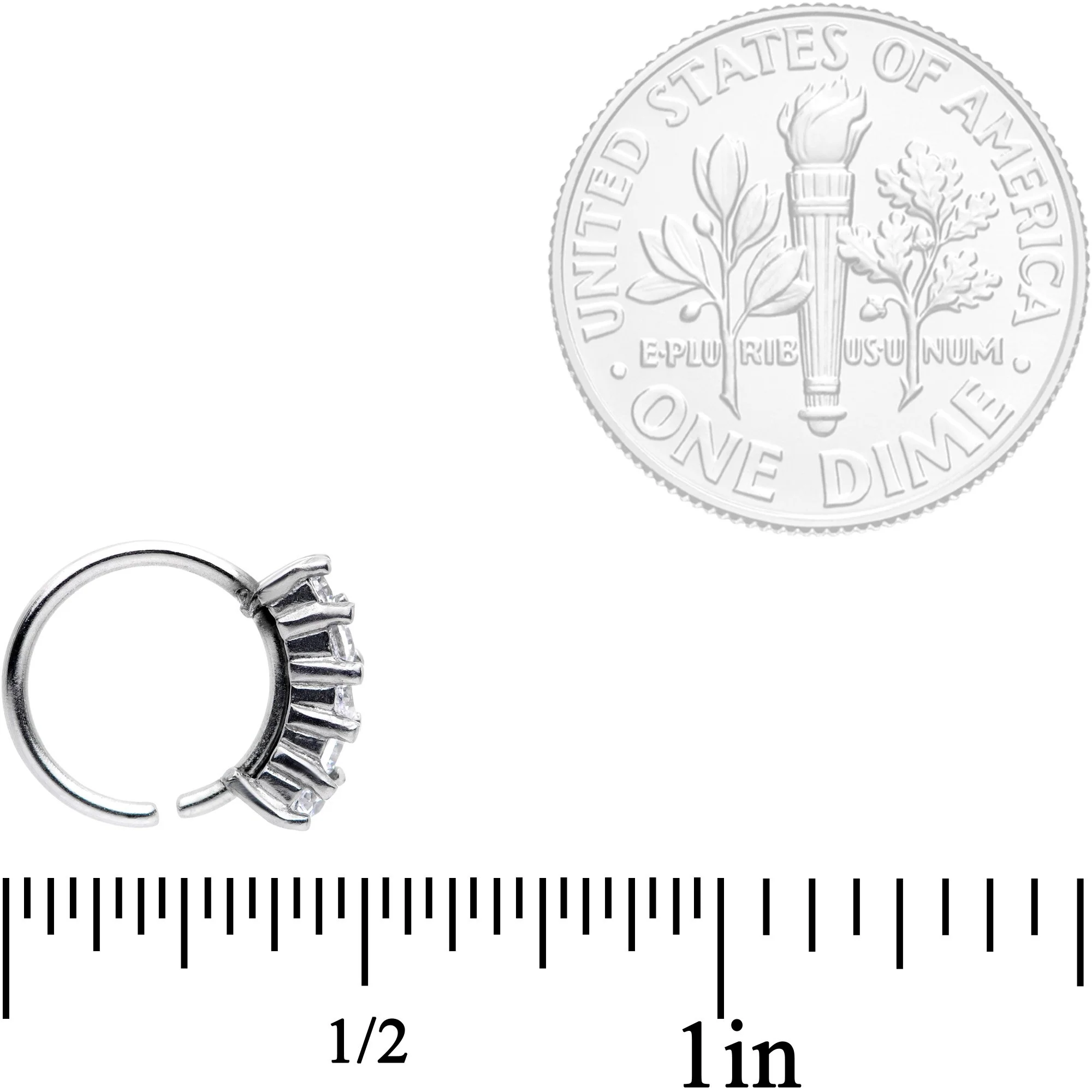18G 5/16 Clear CZ Gem Crowning Glory Seamless Circular Ring - Image 4
