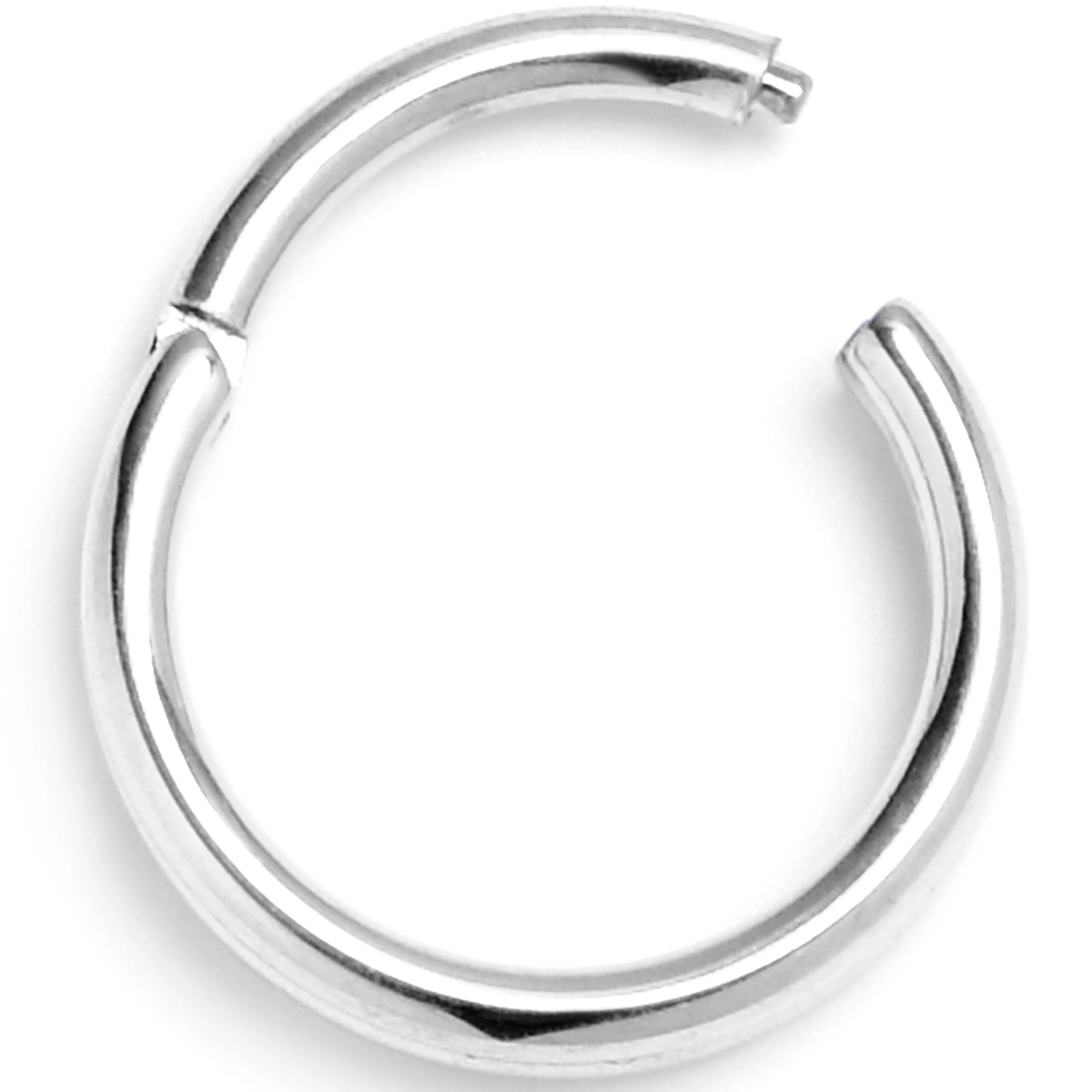 20G 1/4 316L Surgical Steel Double Precision Hinged Segment Ring - Image 3