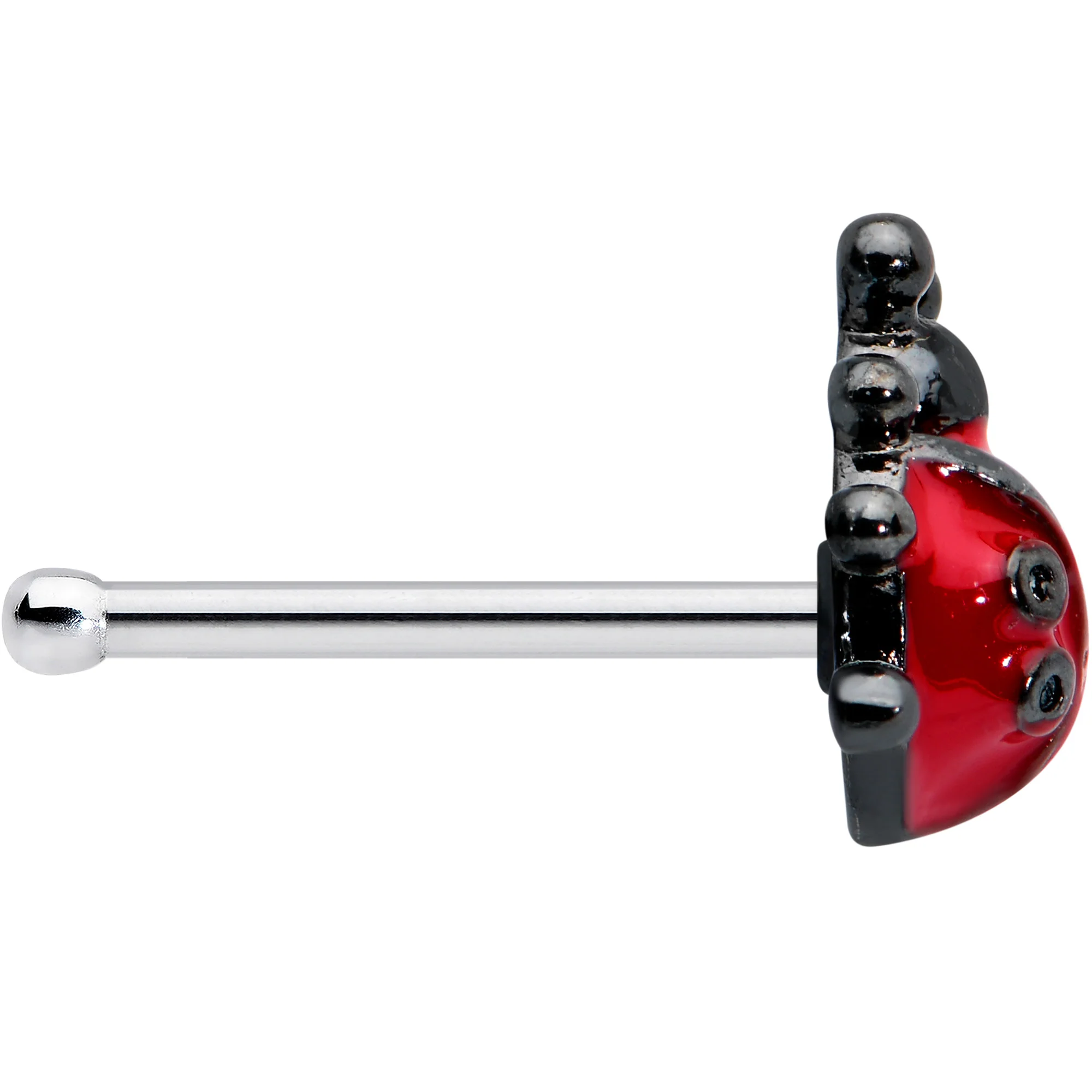 20G 1/4 Classic Ladybug Nose Bone - Image 3