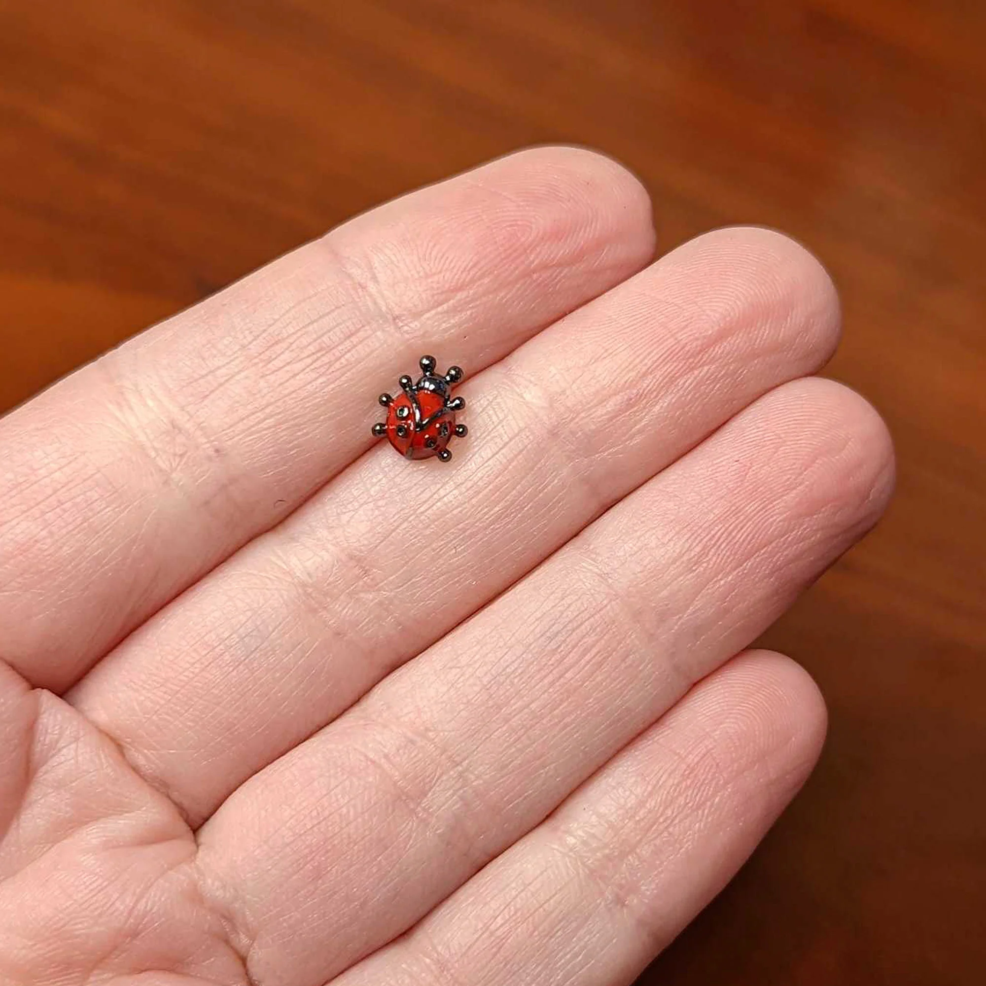 20G 1/4 Classic Ladybug Nose Bone - Image 5