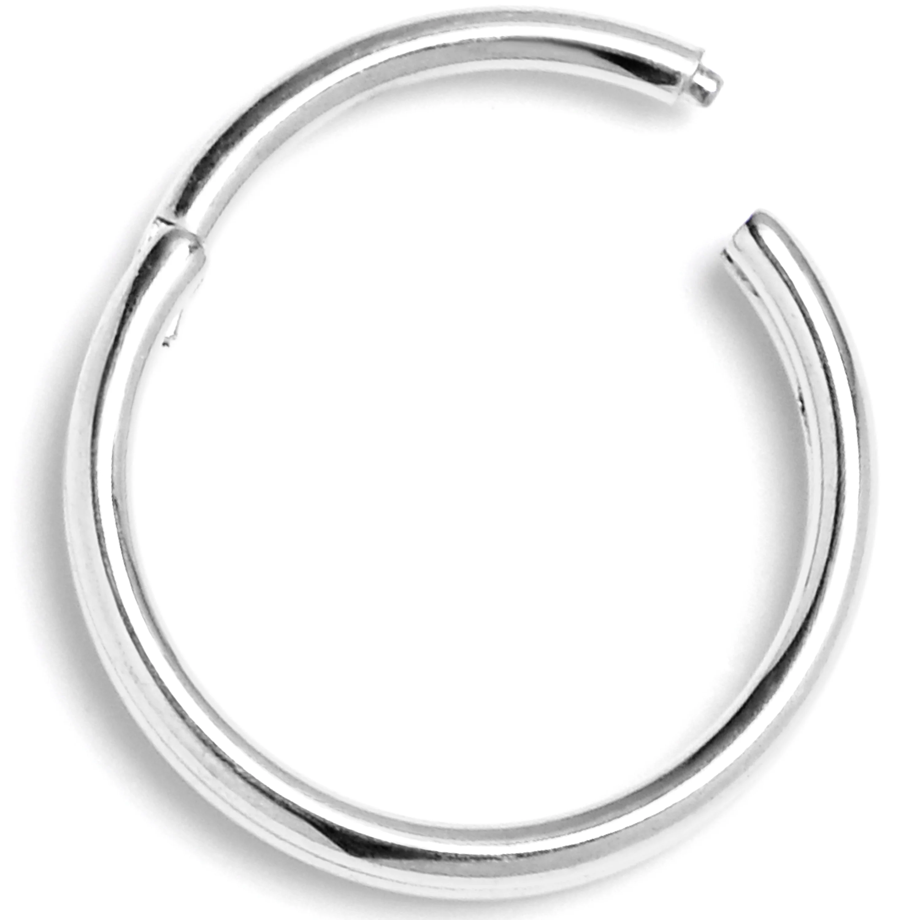 20G 5/16 316L Surgical Steel Double Precision Hinged Segment Ring - Image 3