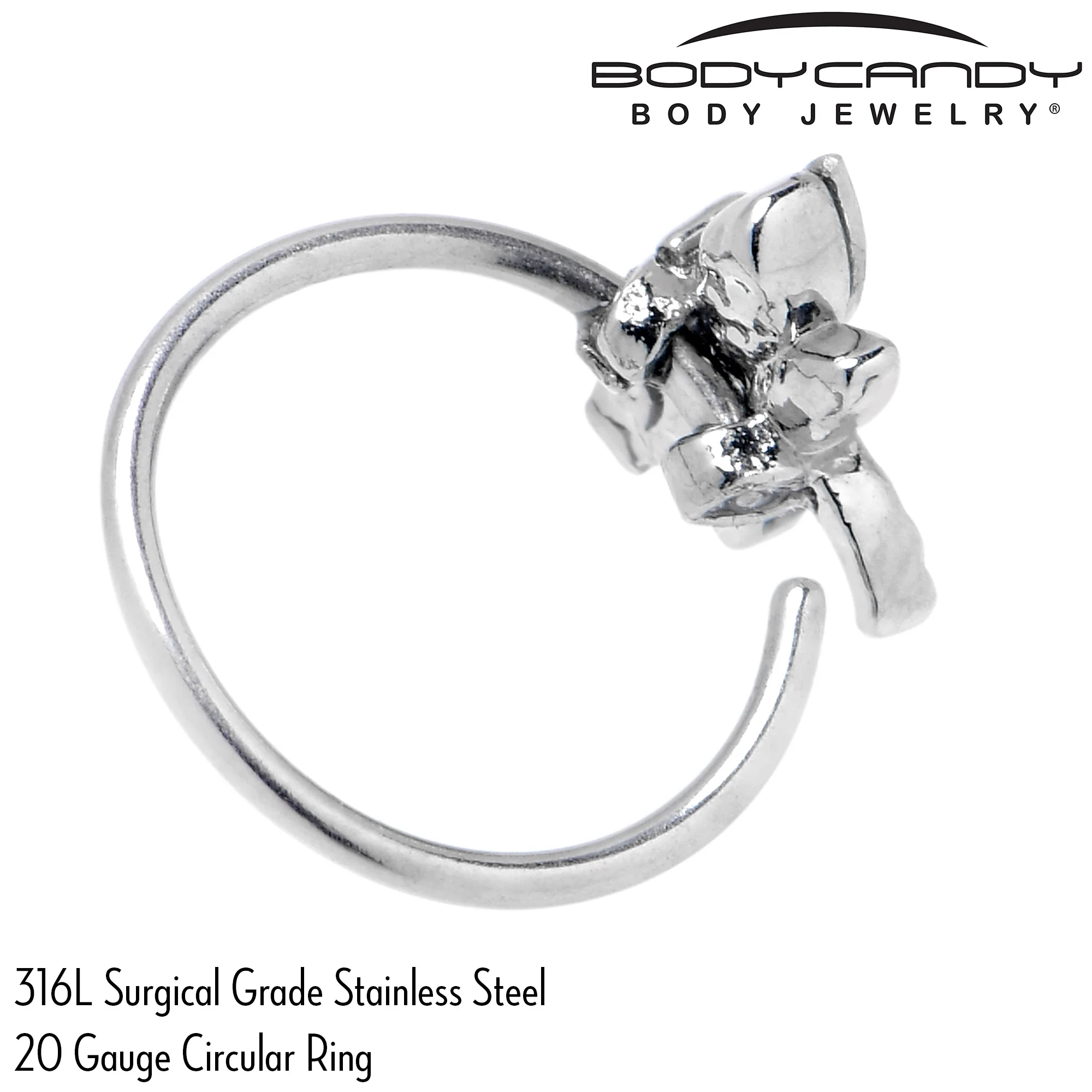 20G 5/16 Aurora CZ Gem Understated Dragonfly Nose Hoop - Image 6