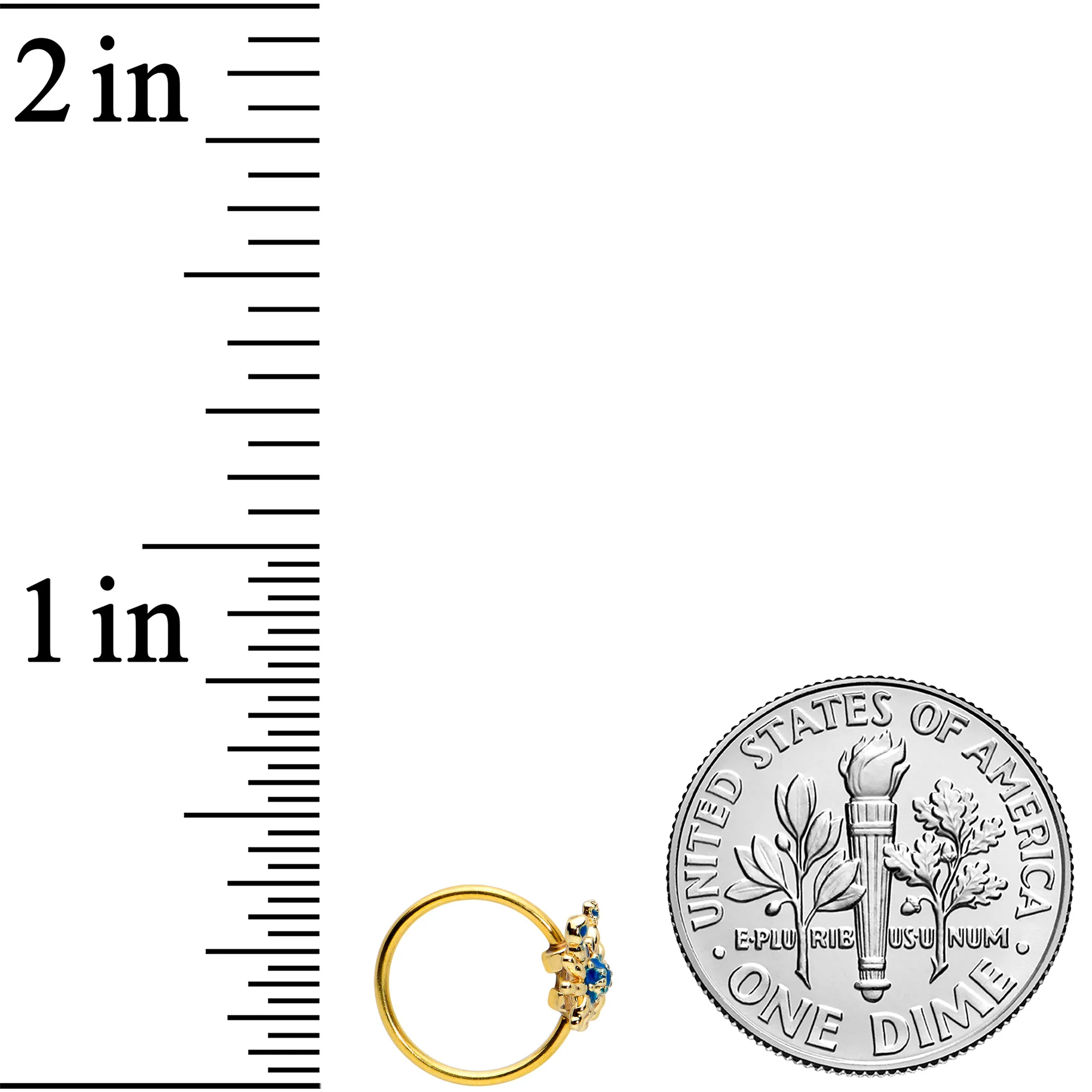 20G 5/16 Black Gem Gold Tone Blue Crab Nautical Nose Hoop - Image 4