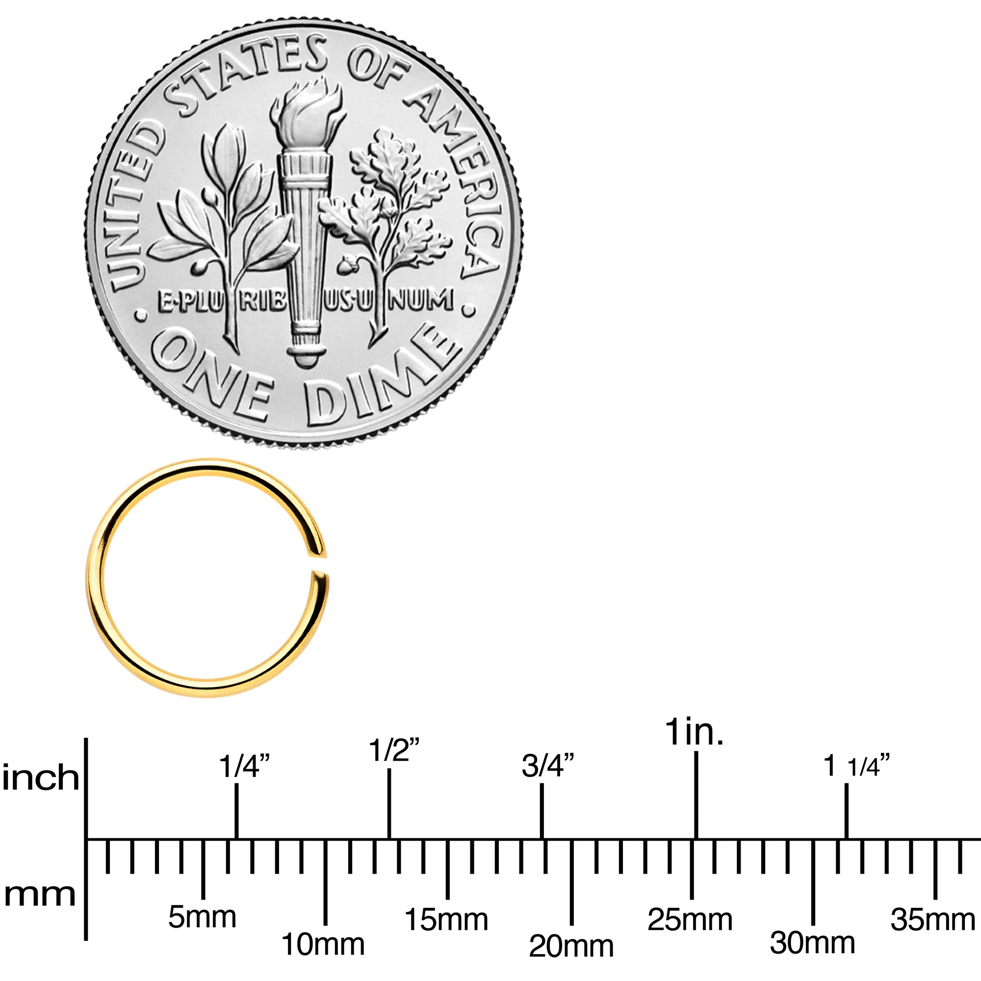 20G 5/16 Black Gold Tone Anodized Seamless Circular Ring Set of 12 - Image 3