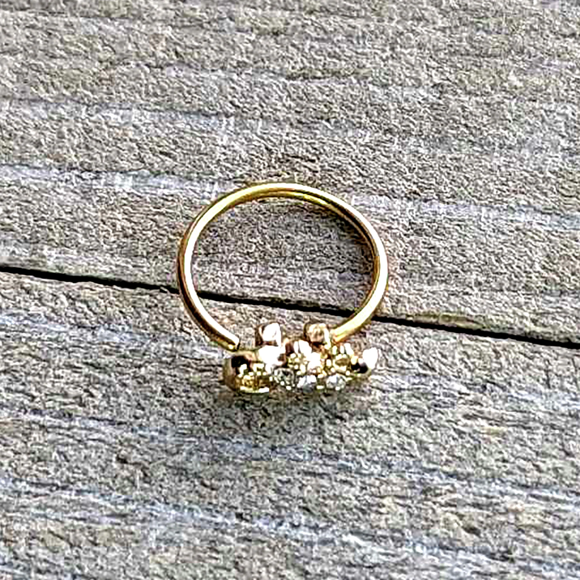 20G 5/16 Clear Gem Gold Tone Luscious Lizard Nose Hoop - Image 7