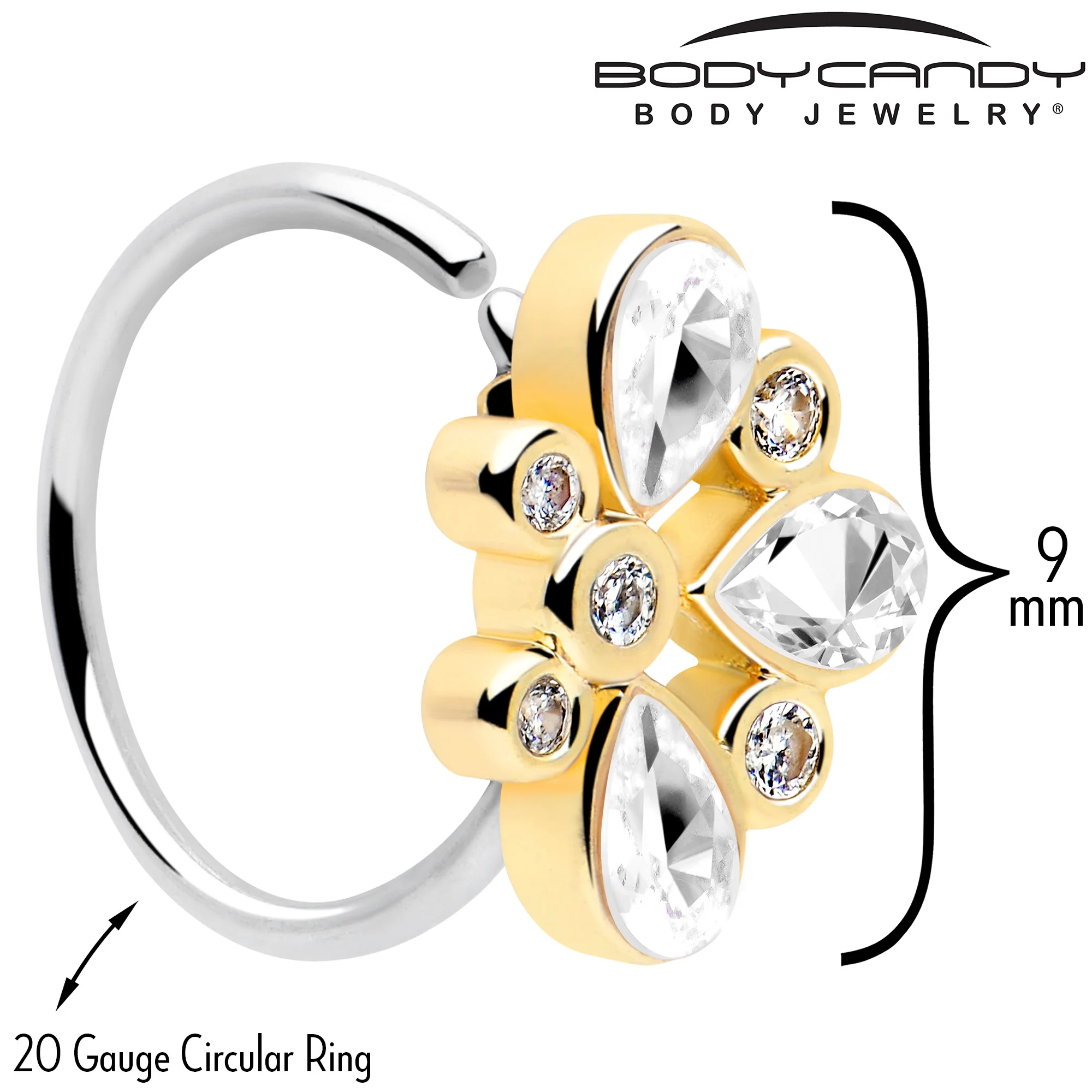 20G 5/16 Clear Gem Golden Crown Deluxe Nose Hoop - Image 3