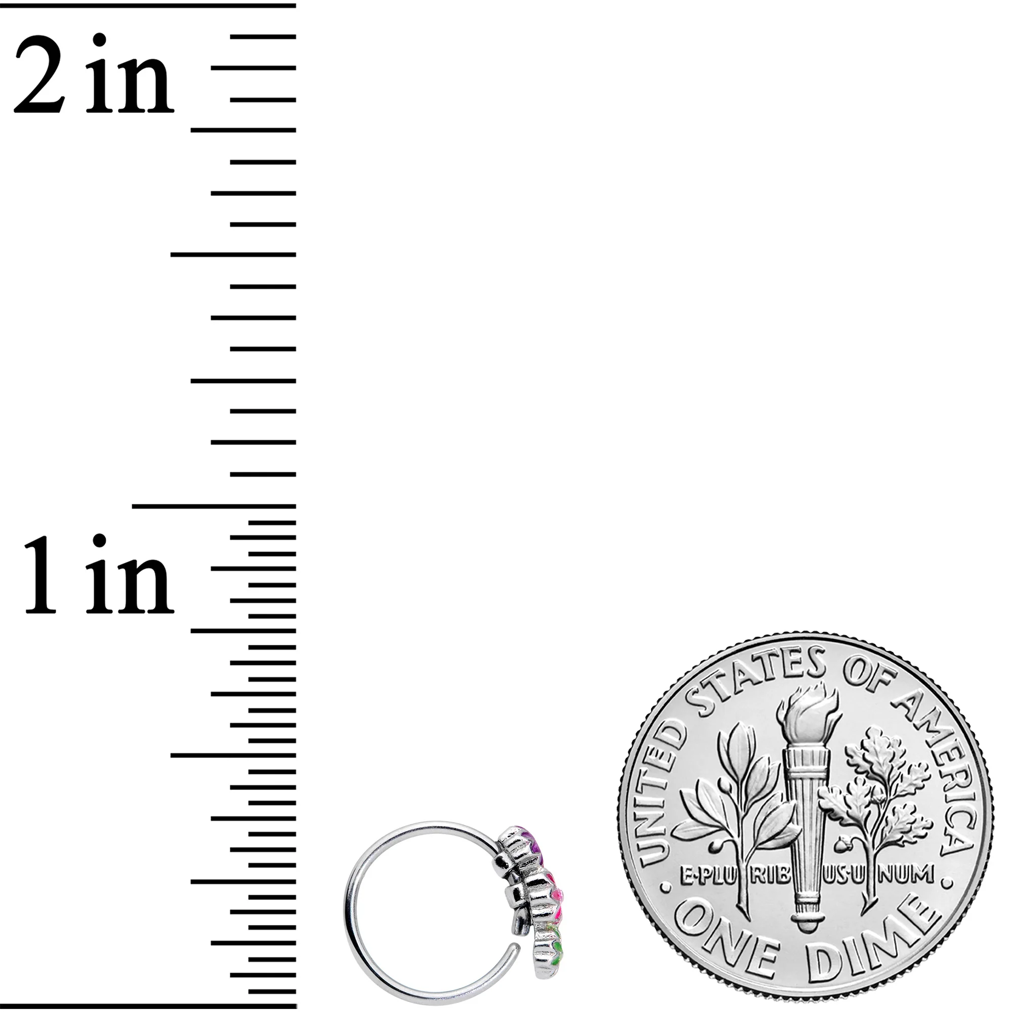 20G 5/16 Flower Patch Nose Hoop - Image 3