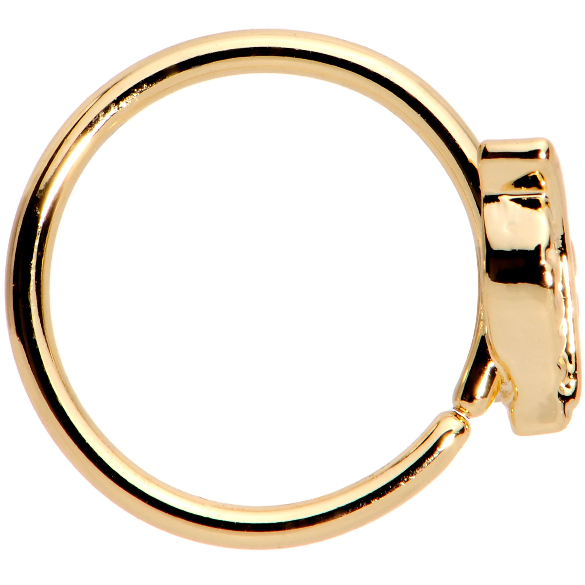 20G 5/16 Gold PVD Little Leaf Seamless Circular Ring - Image 2