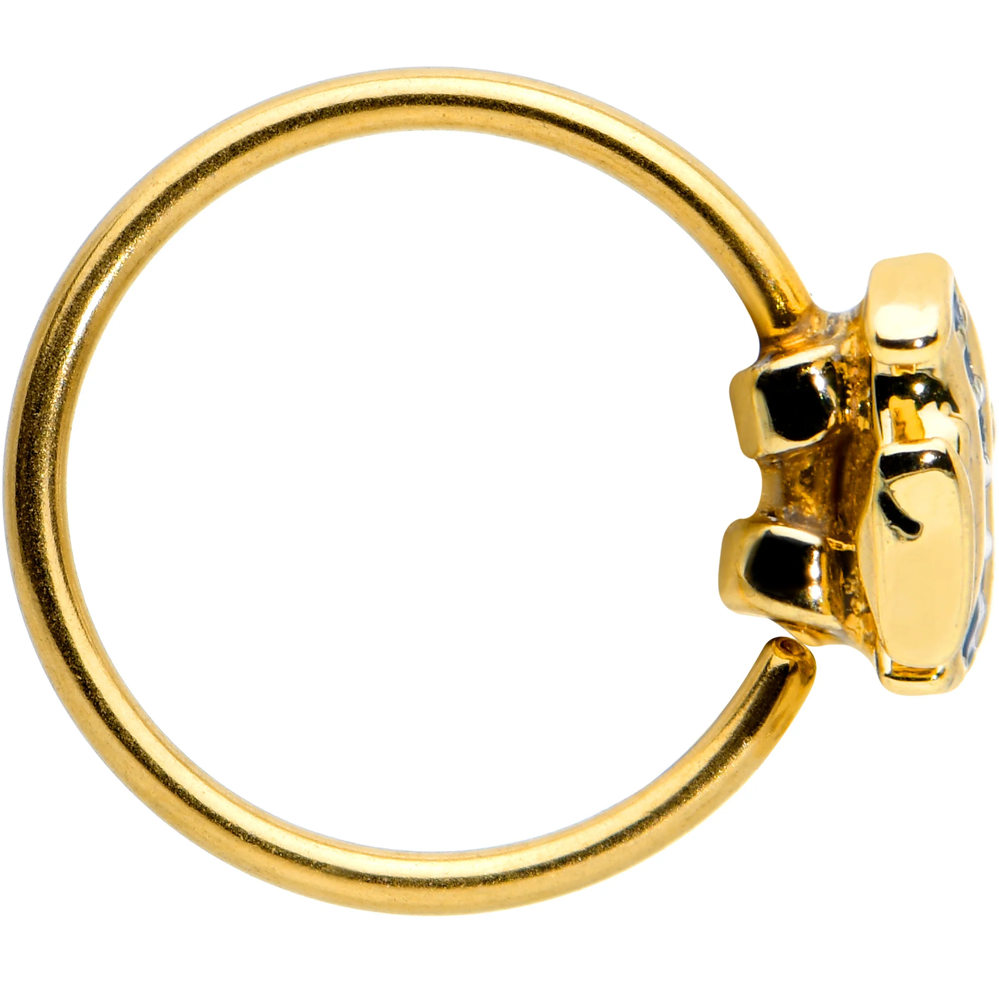 20G 5/16 Gold Tone Blue Adorable Angelfish Nose Hoop - Image 3