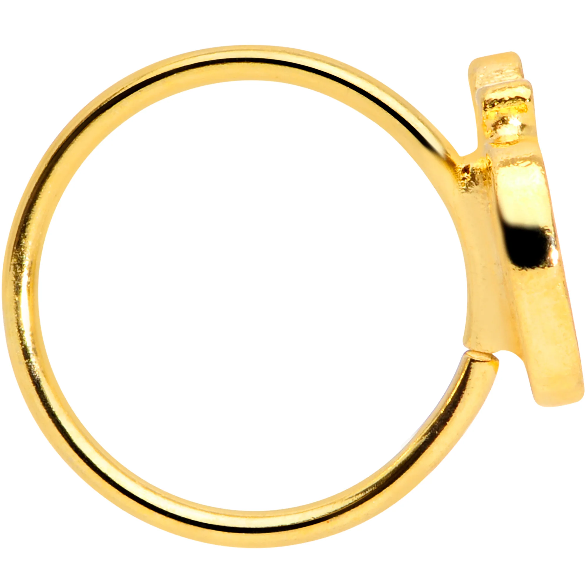 20G 5/16 Gold Tone Sweet Apple Nose Hoop - Image 2