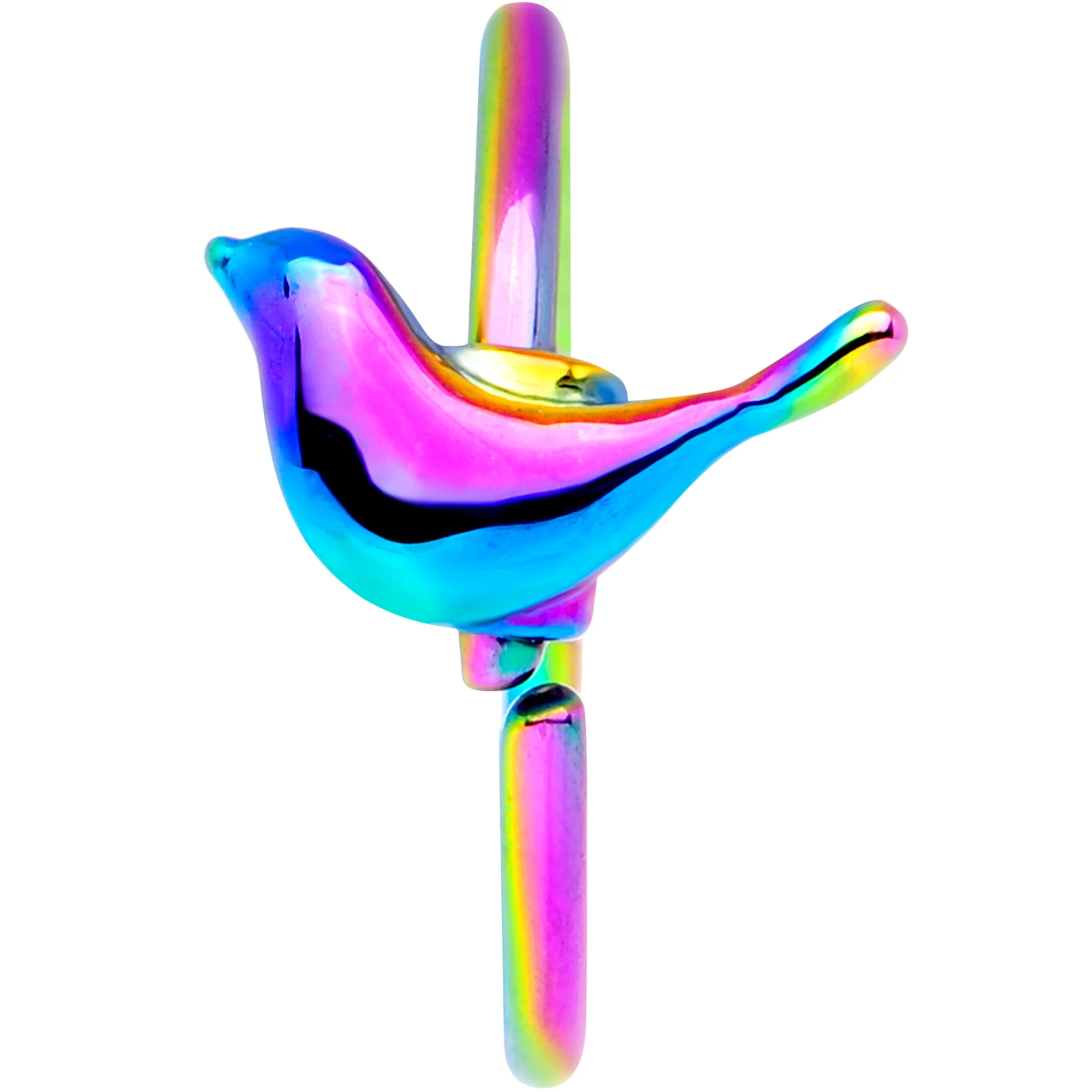 20G 5/16 Rainbow Bird Nose Hoop - Image 2