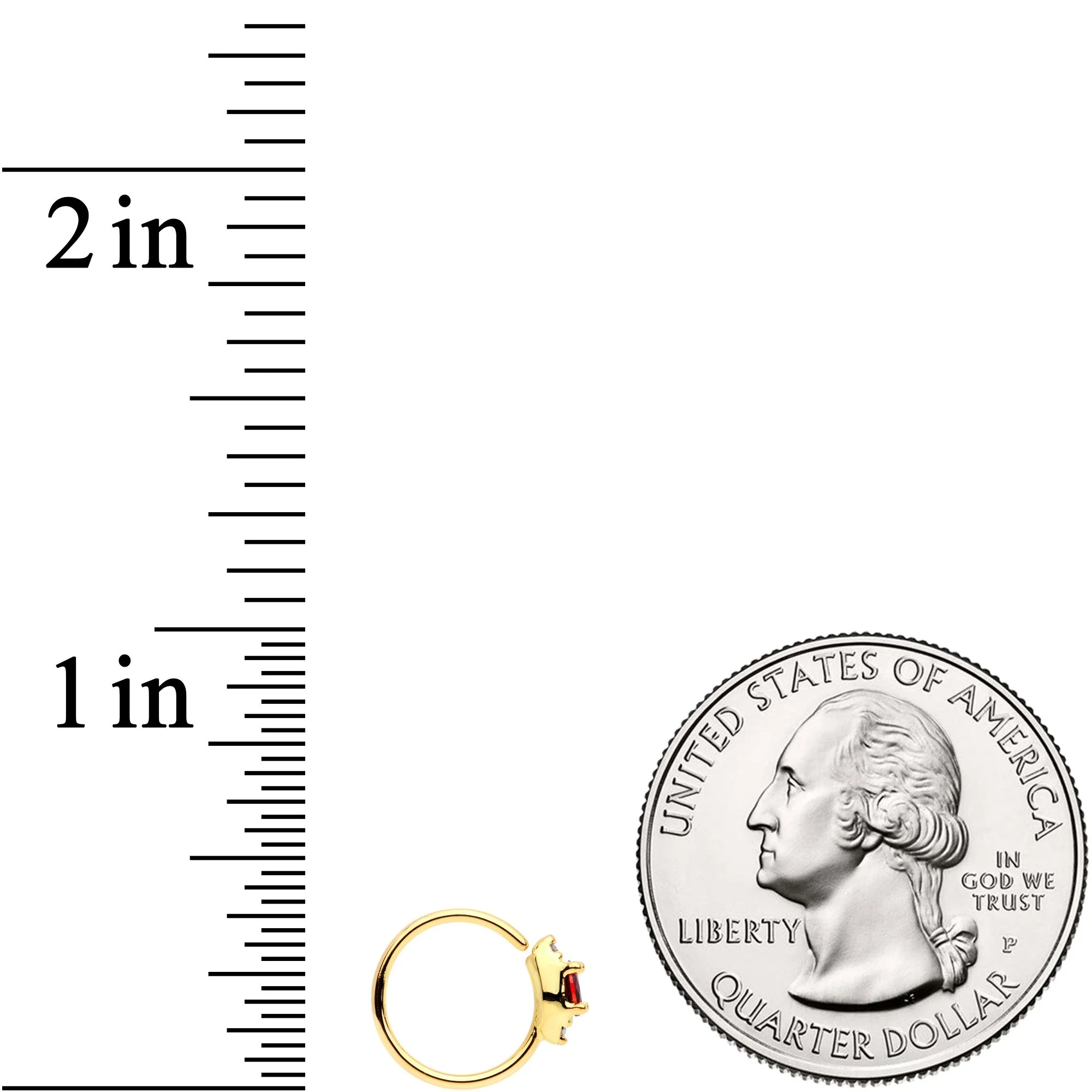 20G 5/16 Red Clear CZ Gem Gold Tone Seamless Circular Ring - Image 3
