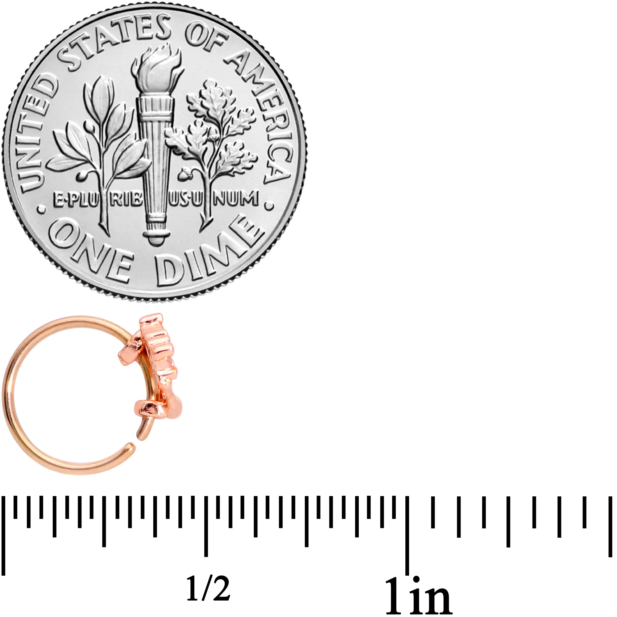 20G 5/16 Rose Gold Tone Magic Genie Lamp Nose Hoop - Image 4