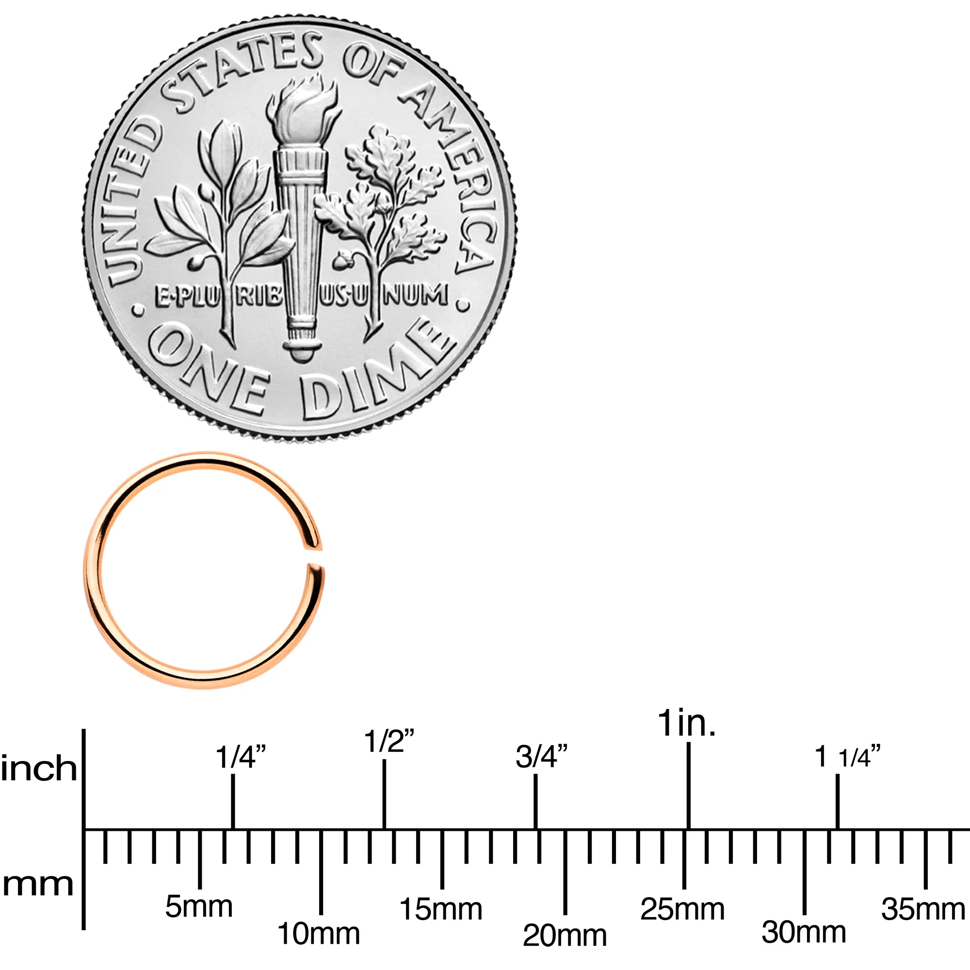 20G 5/16 Steel Rose Gold Tone Anodized Seamless Circular Ring Set of 12 - Image 3
