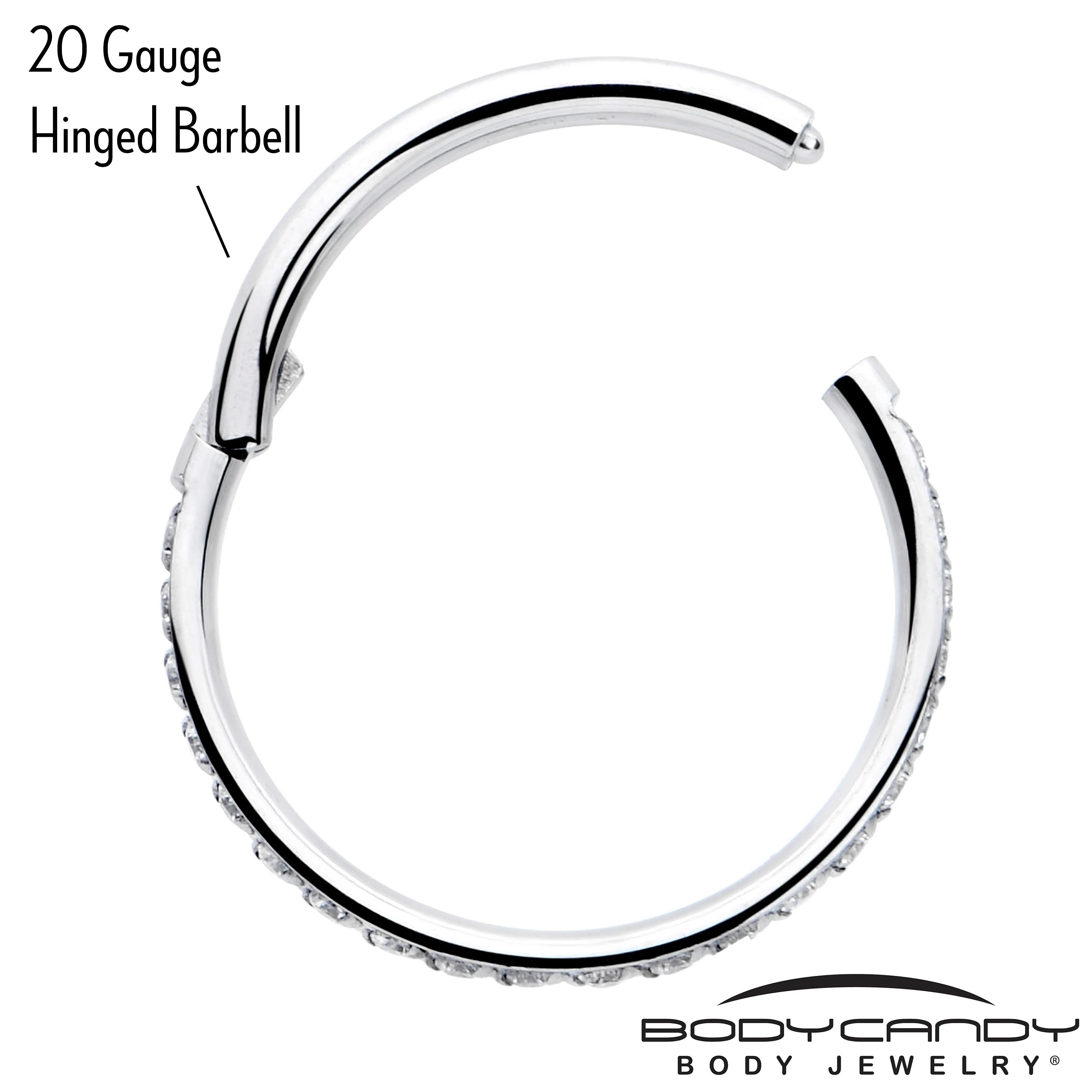 20G 5/16 Clear Cubic Zirconia Forward Facing Hinged Segment Ring - Image 4