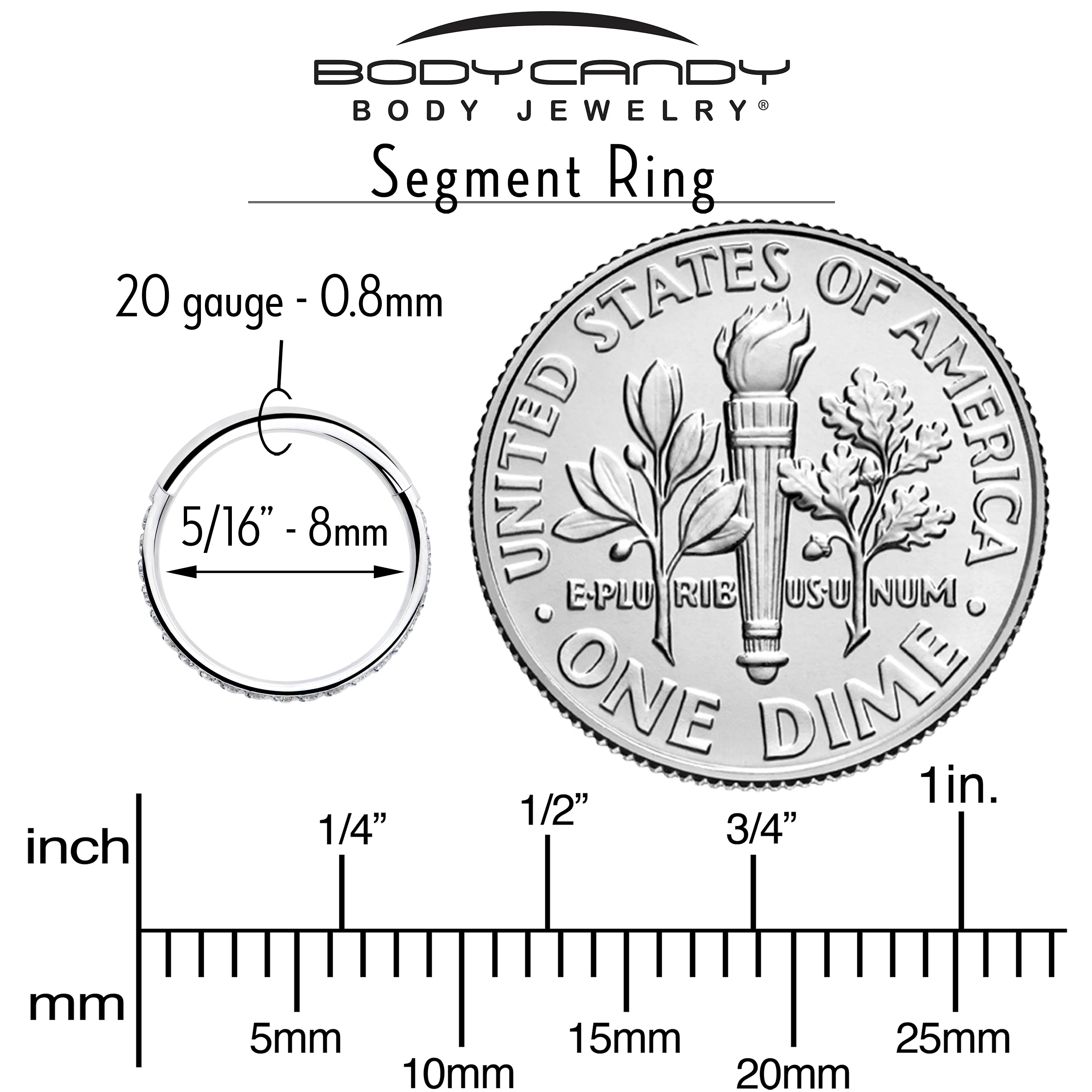 20G 5/16 Clear Cubic Zirconia Forward Facing Hinged Segment Ring - Image 5