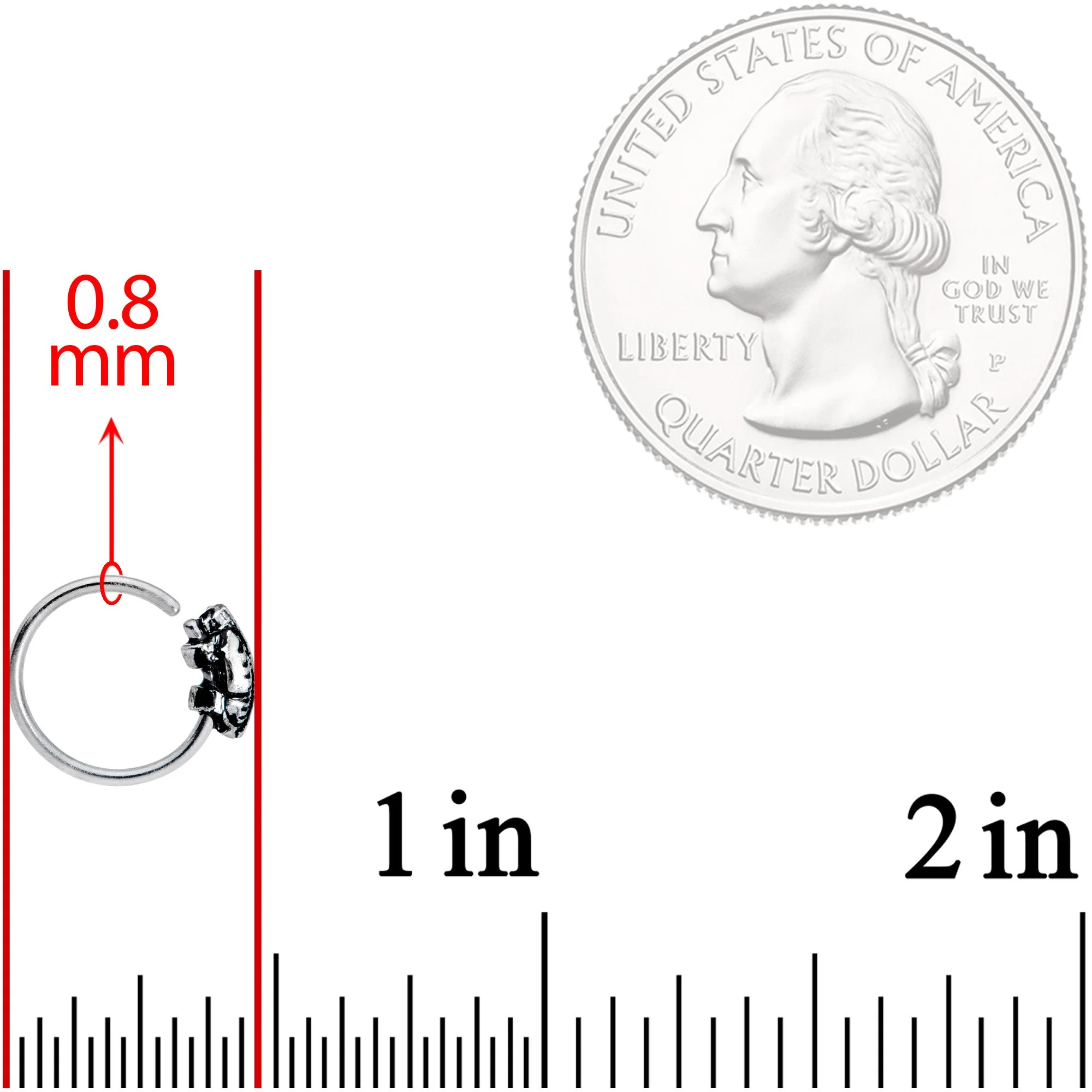 20G 5/16 Feather Seamless Circular Ring - Image 3
