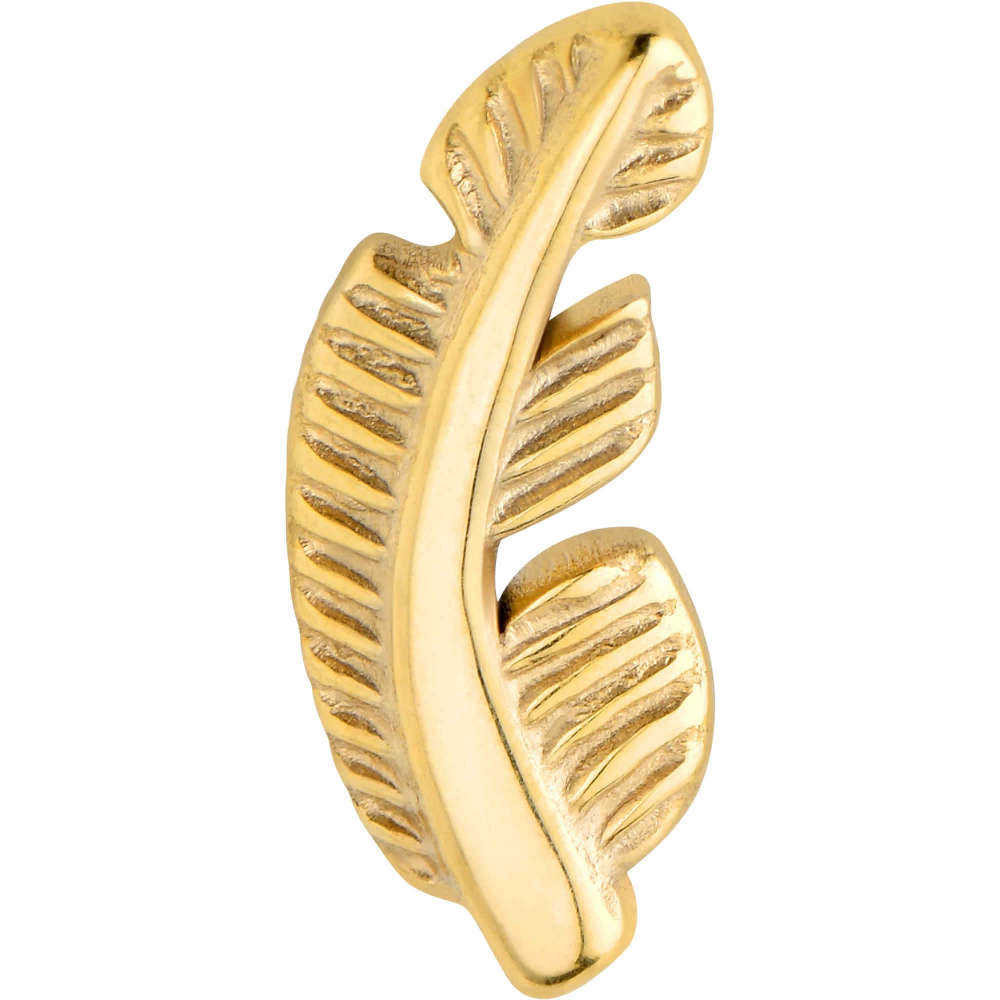 20G Gold Tone ASTM F-136 Implant Grade Titanium Fashion Feather Stud Earrings - Image 3