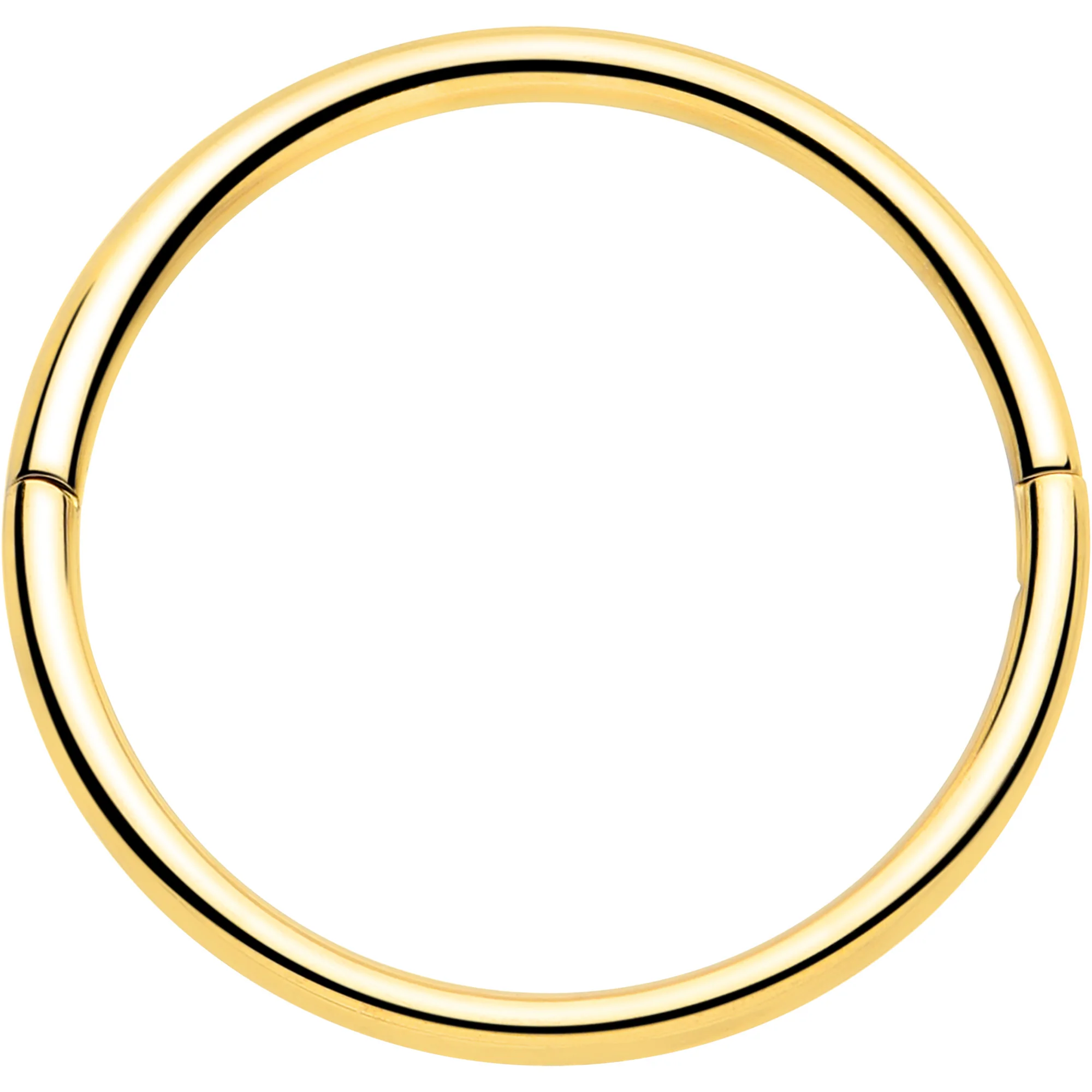 20G Implant Grade Titanium Half Closure Hinged Segment Ring - Image 10