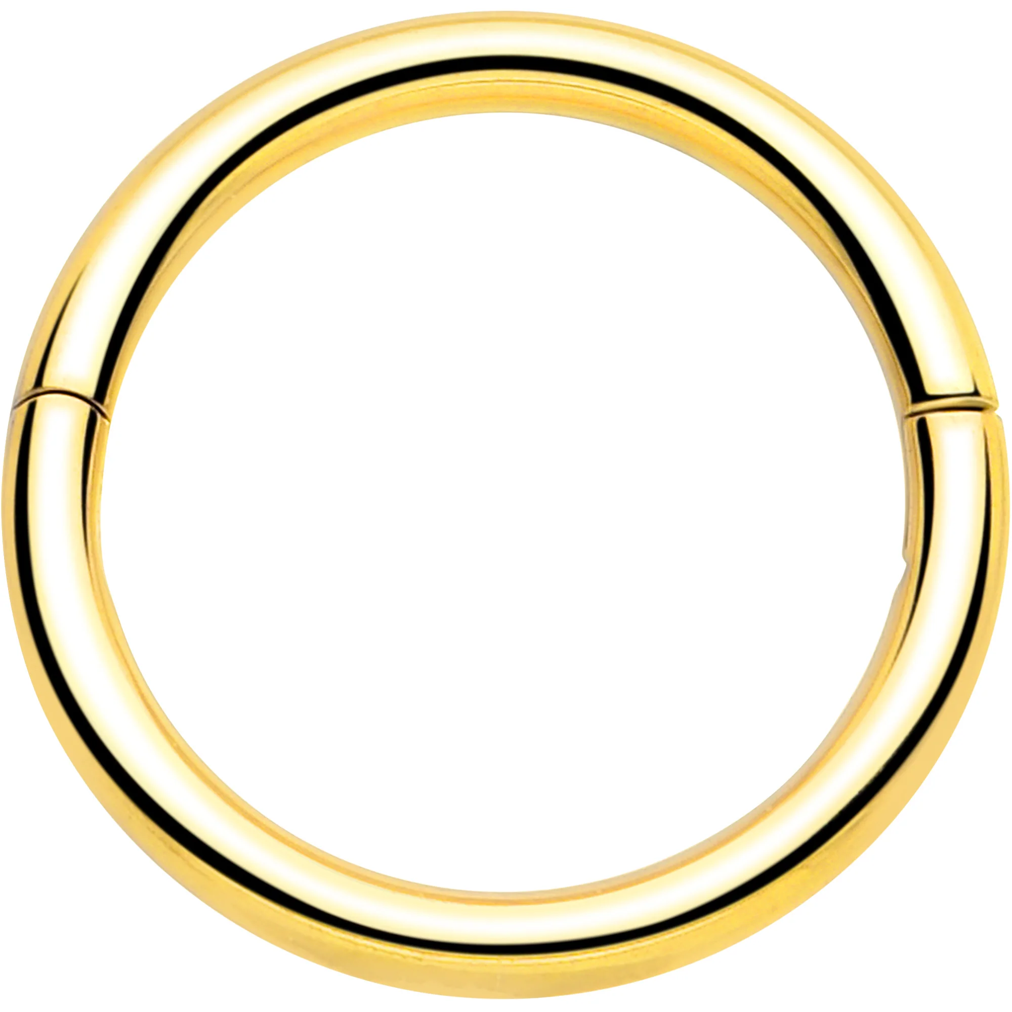 20G Implant Grade Titanium Half Closure Hinged Segment Ring - Image 11