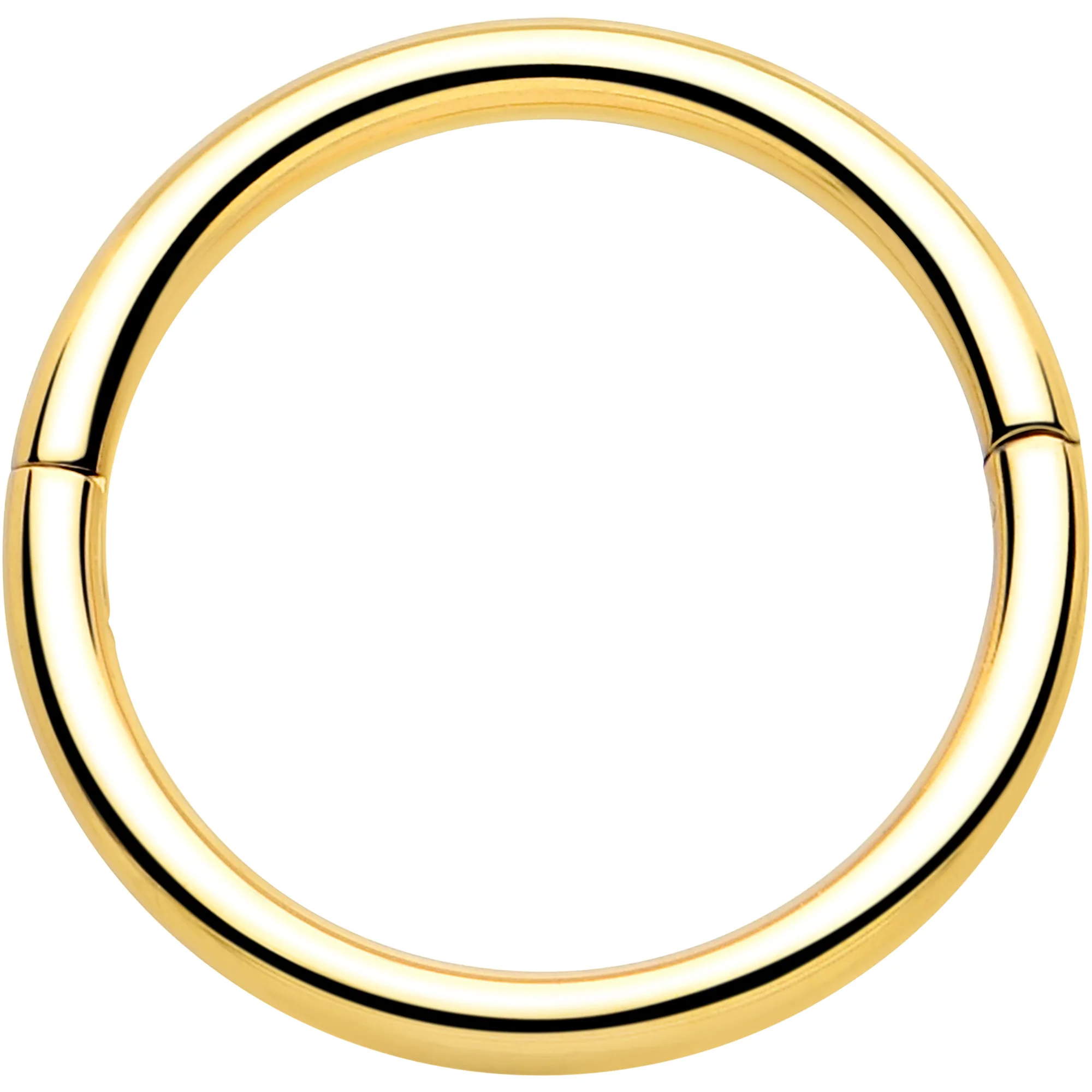 20G Implant Grade Titanium Half Closure Hinged Segment Ring - Image 12