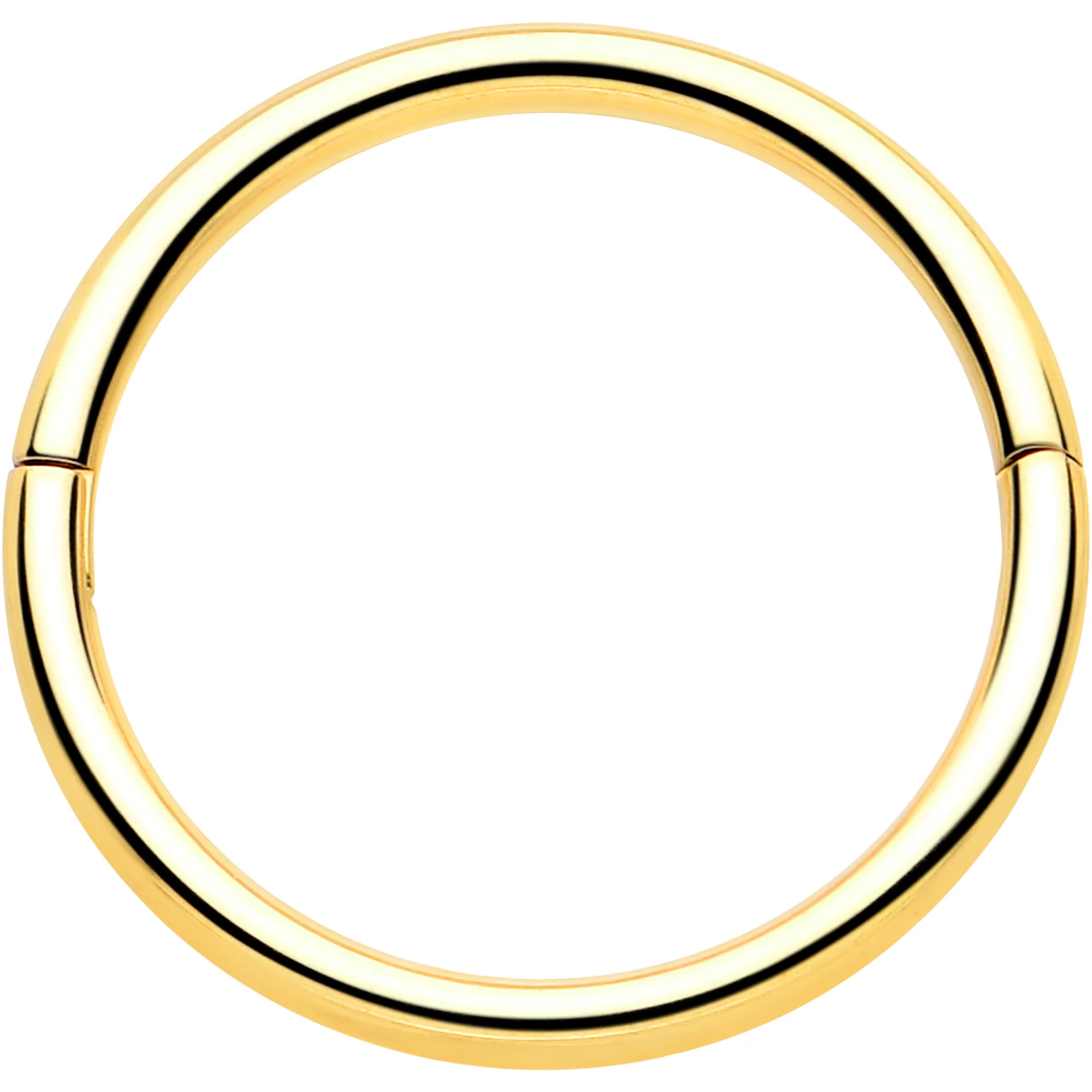 20G Implant Grade Titanium Half Closure Hinged Segment Ring - Image 13