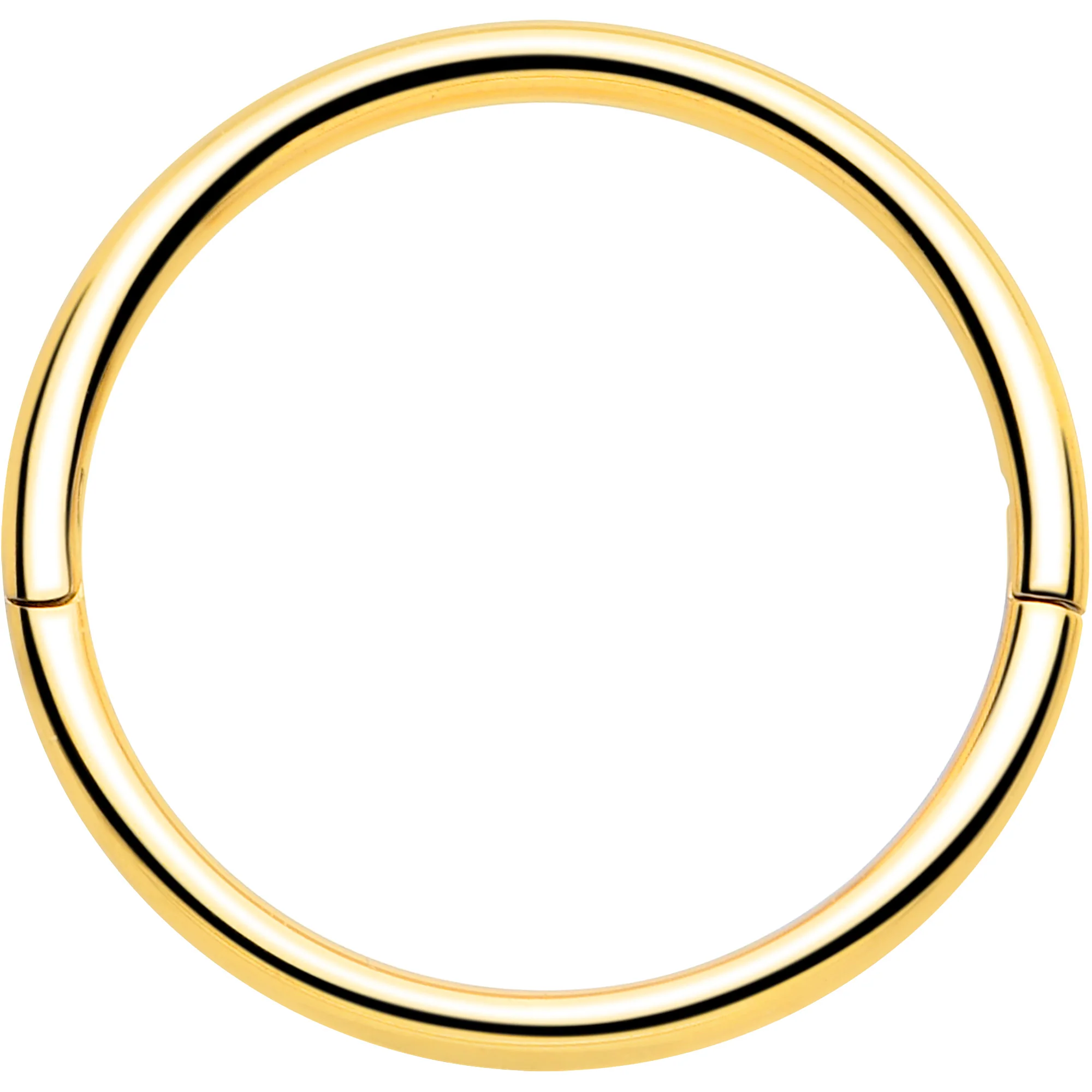 20G Implant Grade Titanium Half Closure Hinged Segment Ring - Image 14
