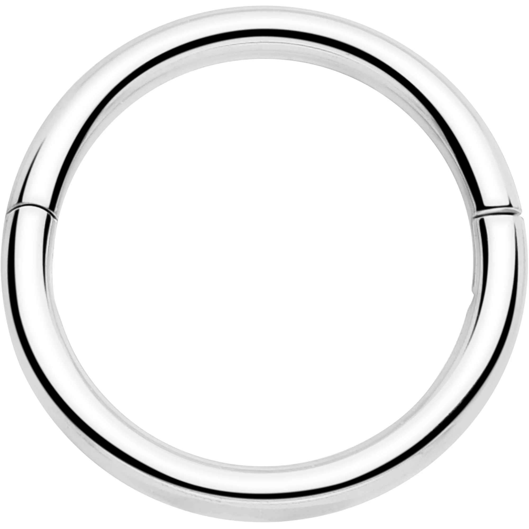 20G Implant Grade Titanium Half Closure Hinged Segment Ring - Image 16