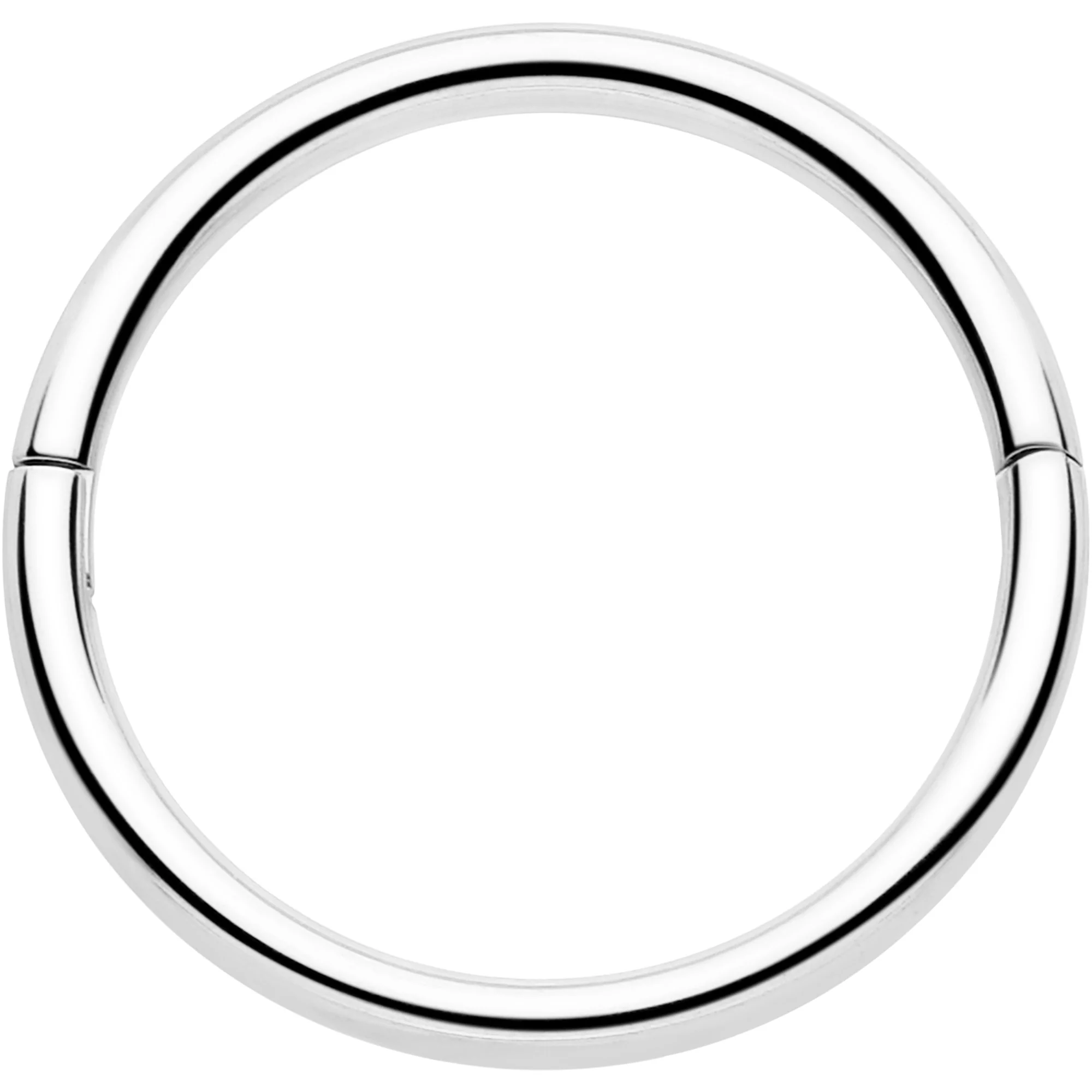 20G Implant Grade Titanium Half Closure Hinged Segment Ring - Image 18