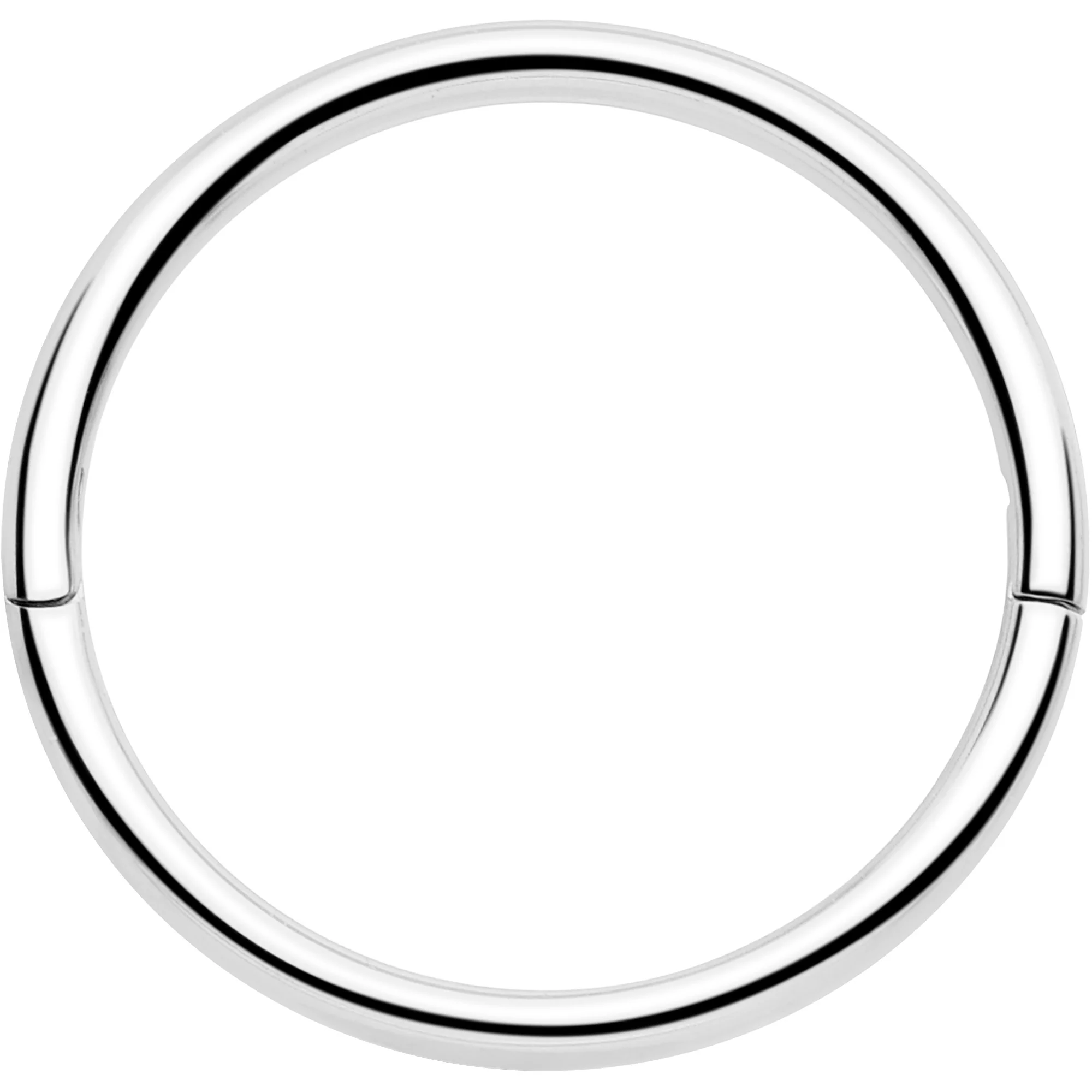 20G Implant Grade Titanium Half Closure Hinged Segment Ring - Image 19