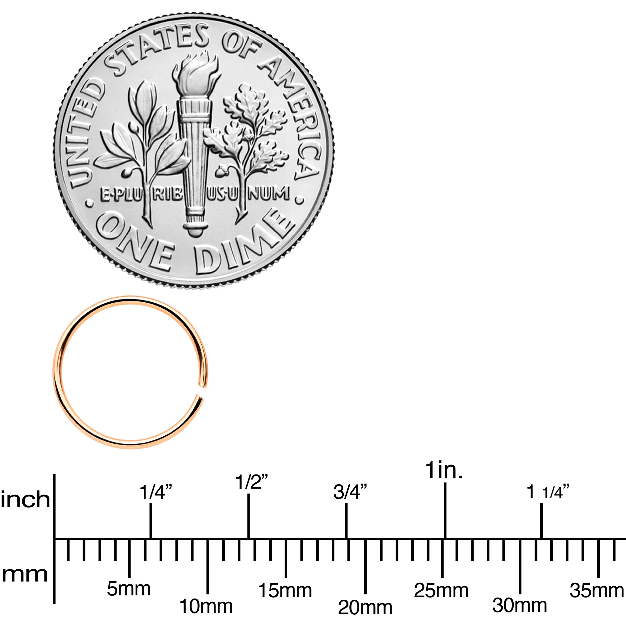 22G 5/16 Rose Gold Tone Anodized Seamless Circular Ring Set of 12 - Image 3