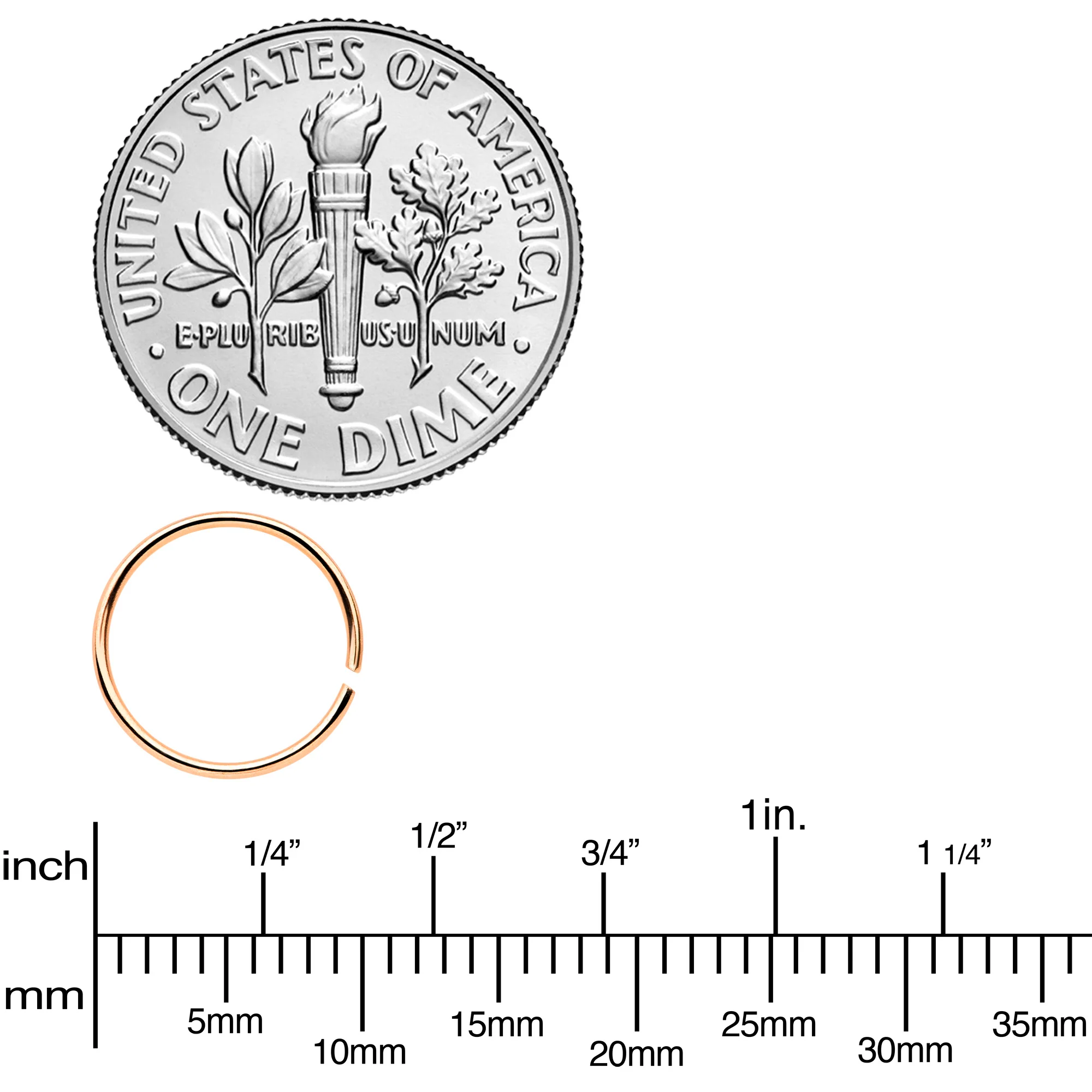 22G 5/16 Steel Rose Gold Tone Anodized Seamless Circular Ring Set of 12 - Image 3