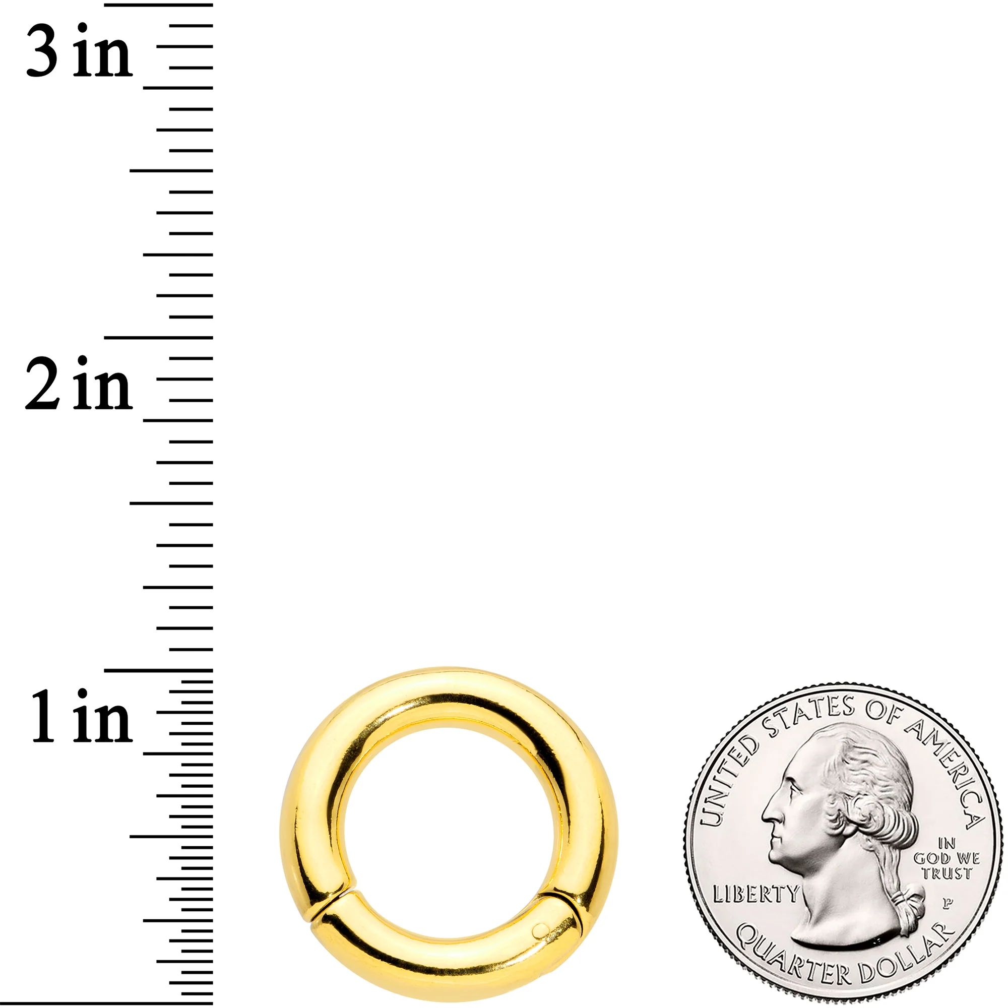 4G 5/8 Gold Tone PVD Steel Hinged Segment Ring - Image 3