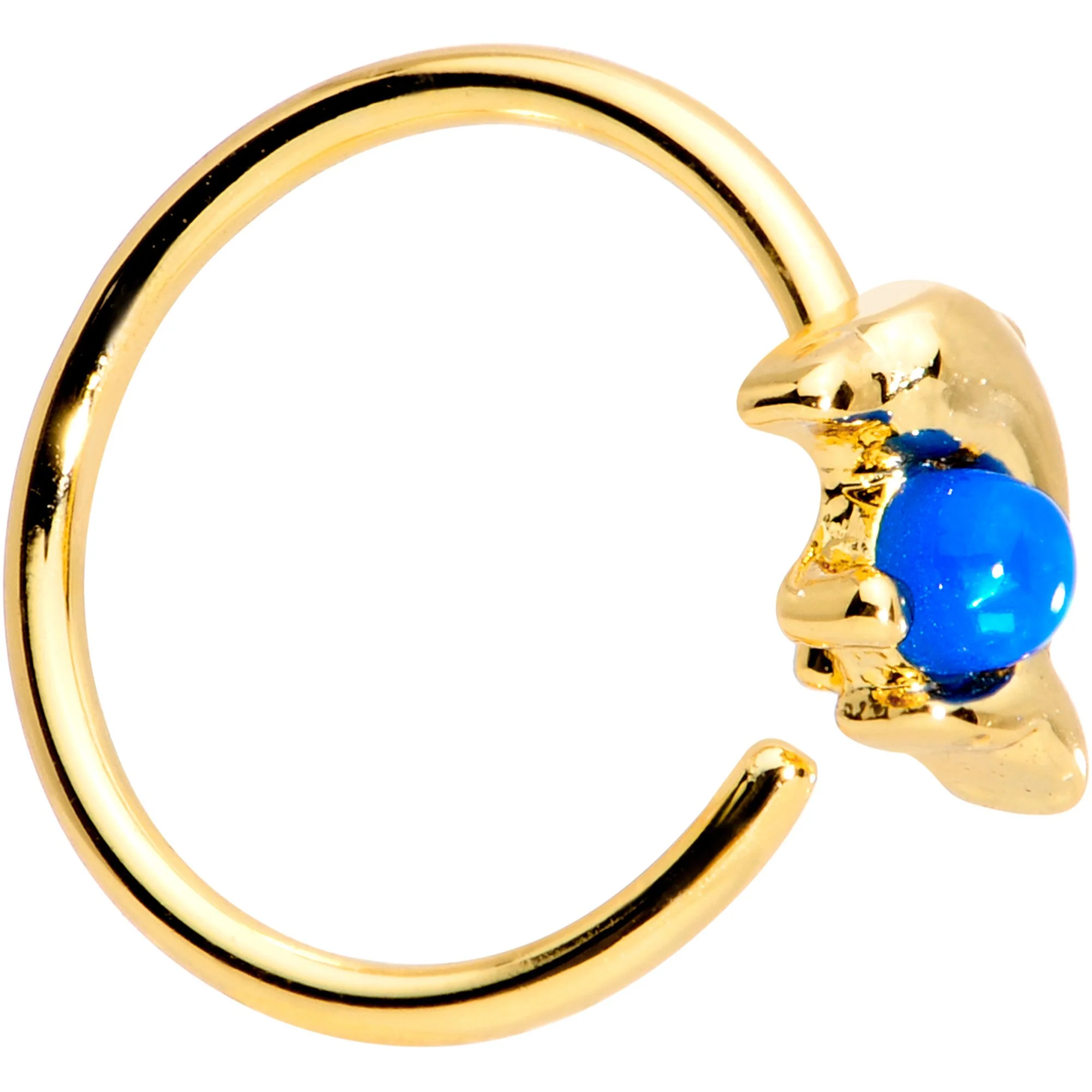 20G Blue Gem Gold Tone Anodized Dolphin Seamless Circular Ring - Image 2