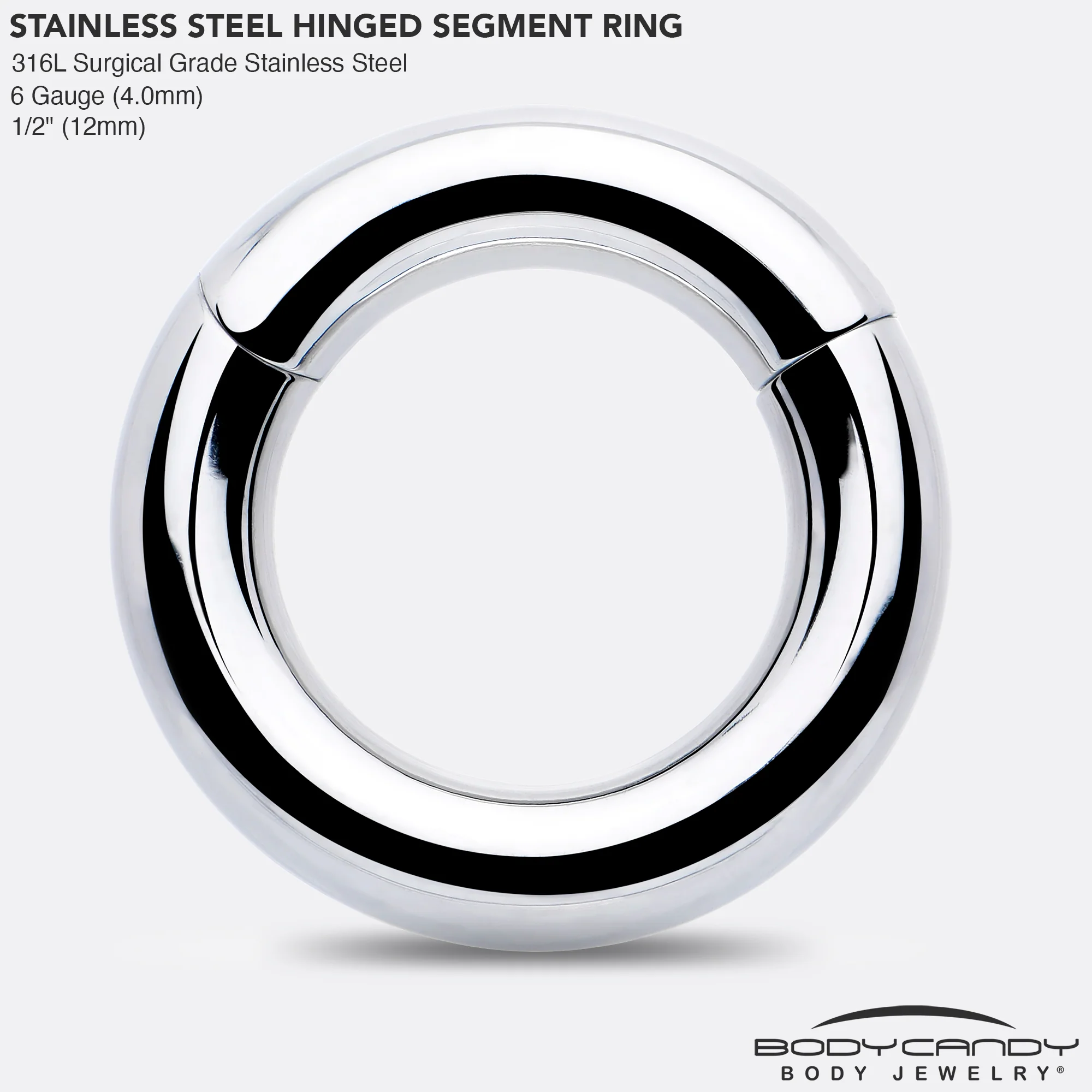 6G 1/2 316L Surgical Steel Precision Hinged Segment Hoop - Image 4