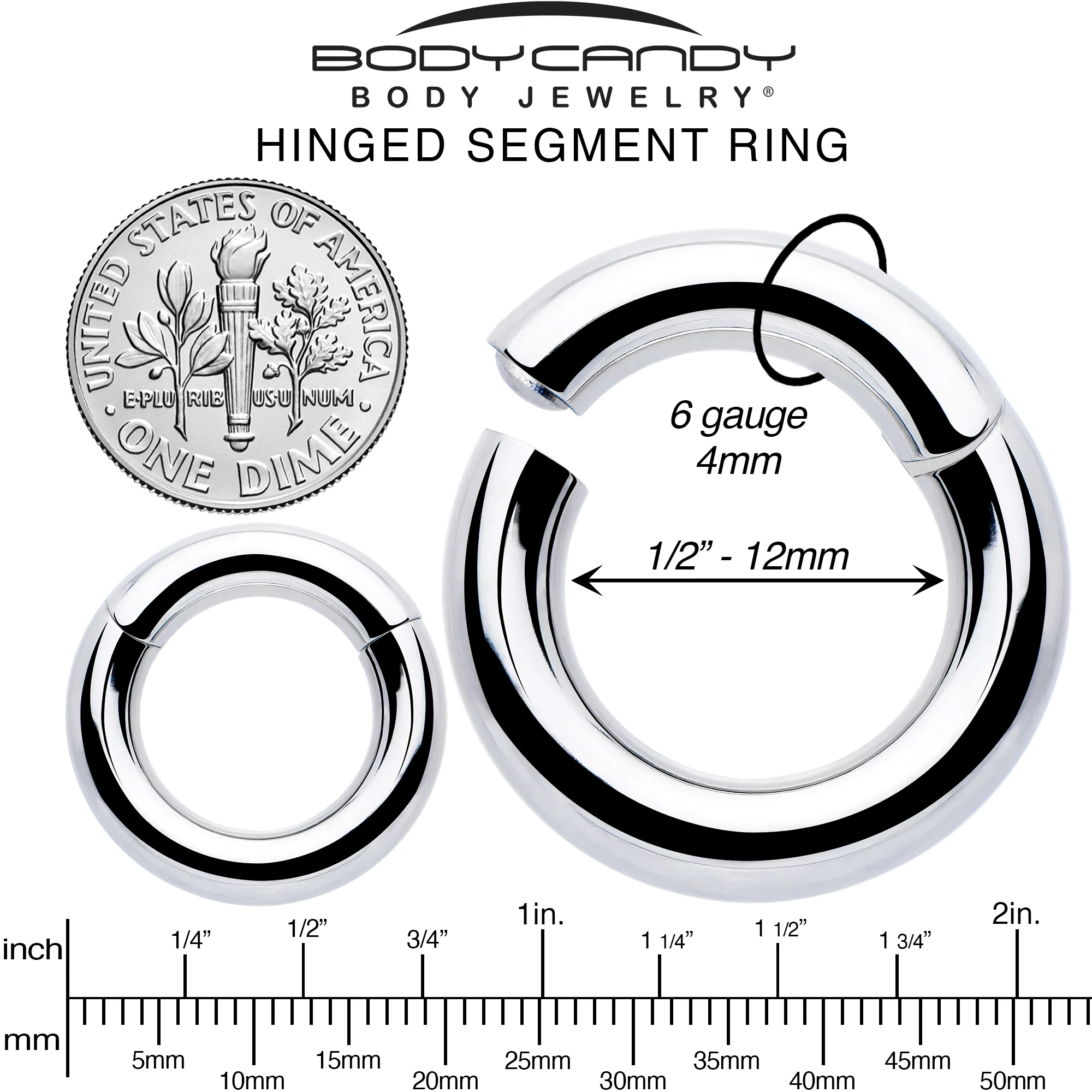 6G 1/2 316L Surgical Steel Precision Hinged Segment Hoop - Image 6