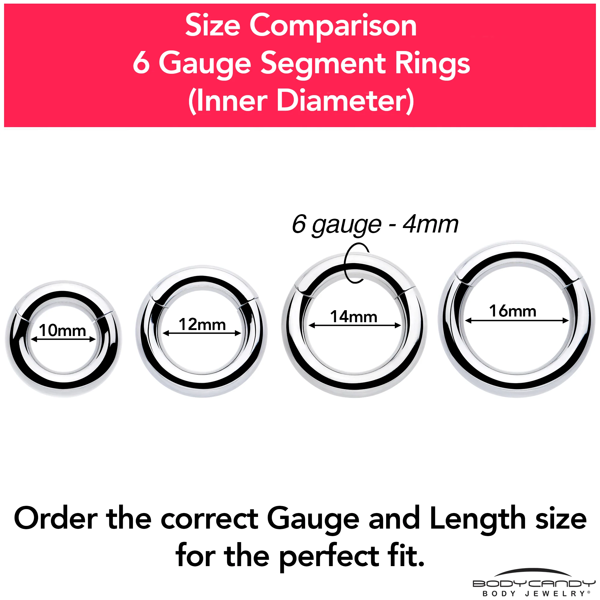 6G 1/2 316L Surgical Steel Precision Hinged Segment Hoop - Image 9