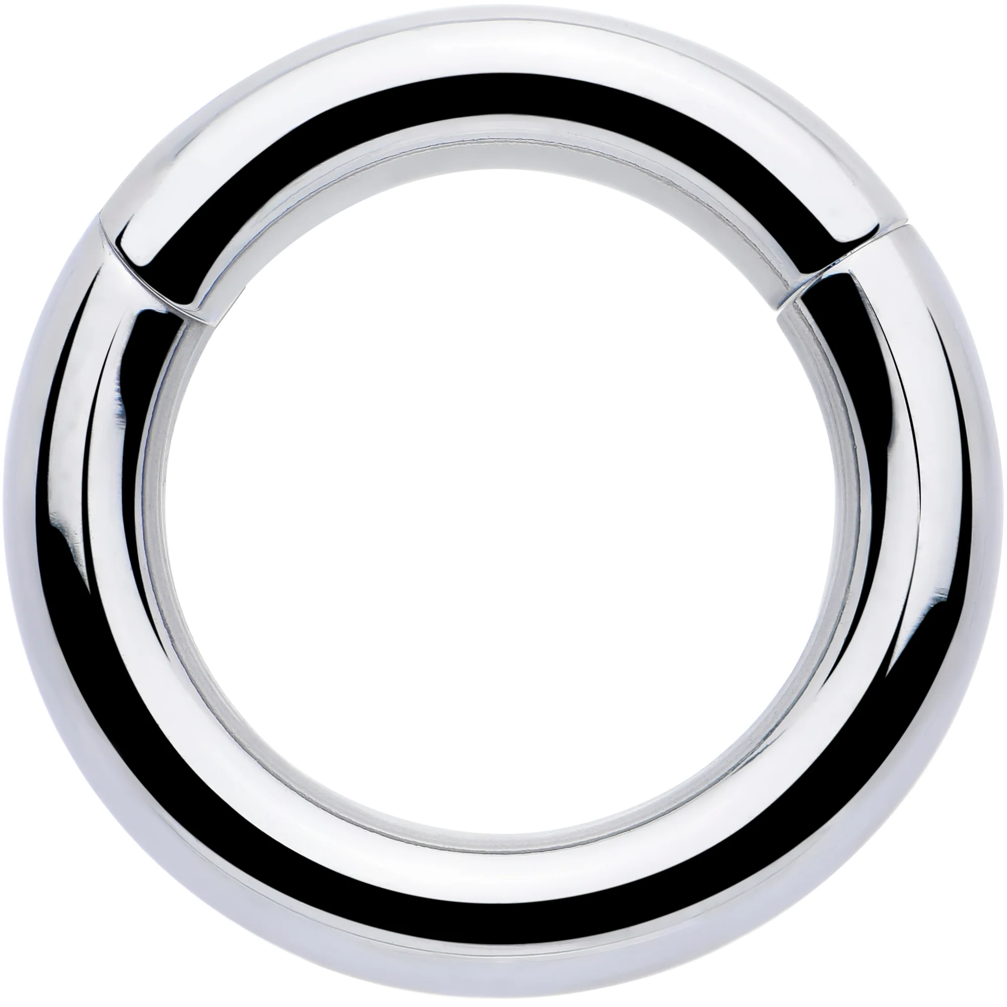 8G 1/2 316L Surgical Steel Precision Hinged Segment Hoop