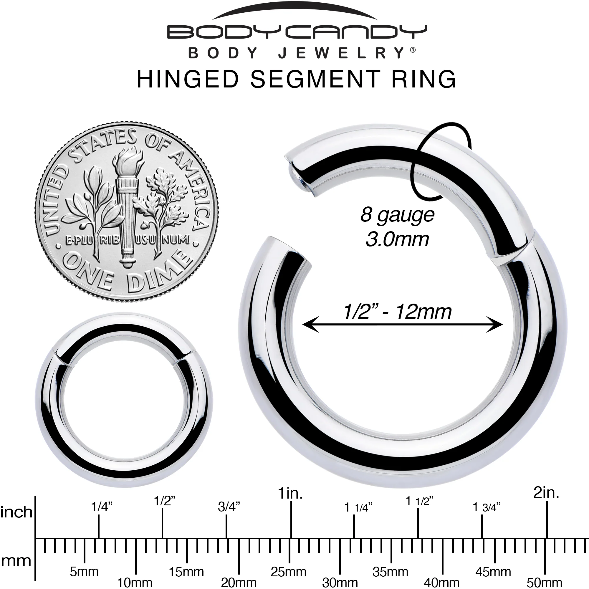 8G 1/2 316L Surgical Steel Precision Hinged Segment Hoop - Image 6