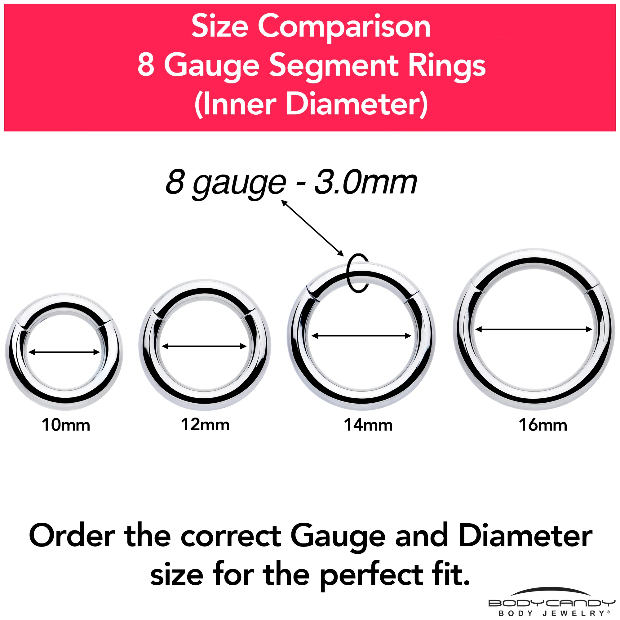 8G 1/2 316L Surgical Steel Precision Hinged Segment Hoop - Image 9