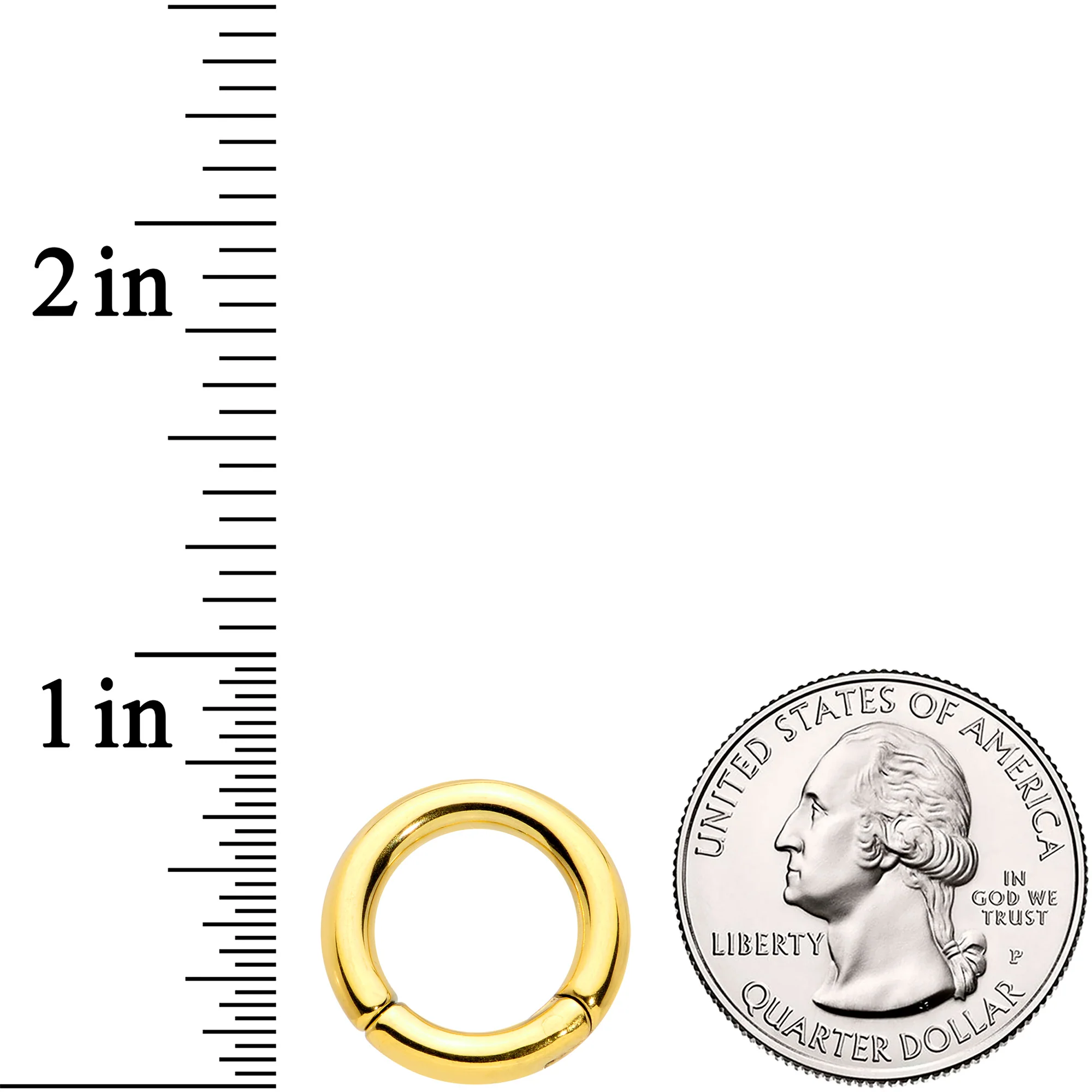 8G 1/2 Gold Tone PVD Steel Hinged Segment Ring - Image 3