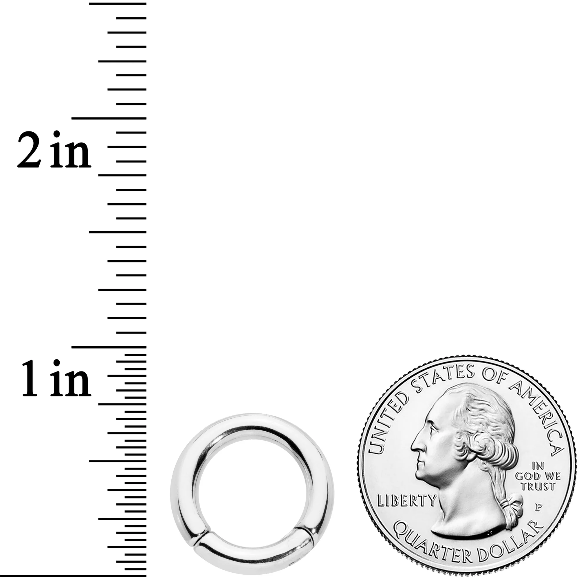 8G 1/2 Stainless Steel Hinged Segment Ring - Image 3