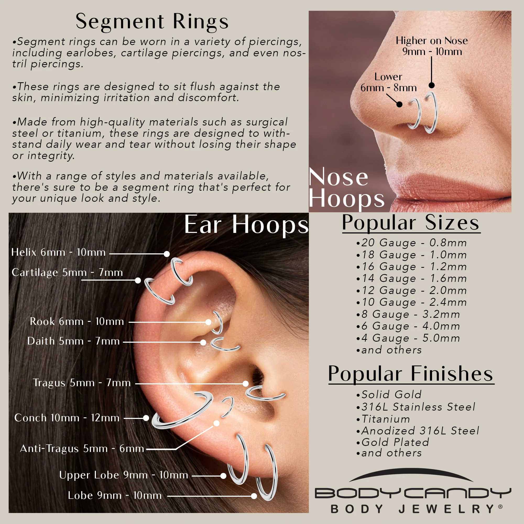 8G 3/8 316L Surgical Steel Precision Hinged Segment Hoop - Image 5