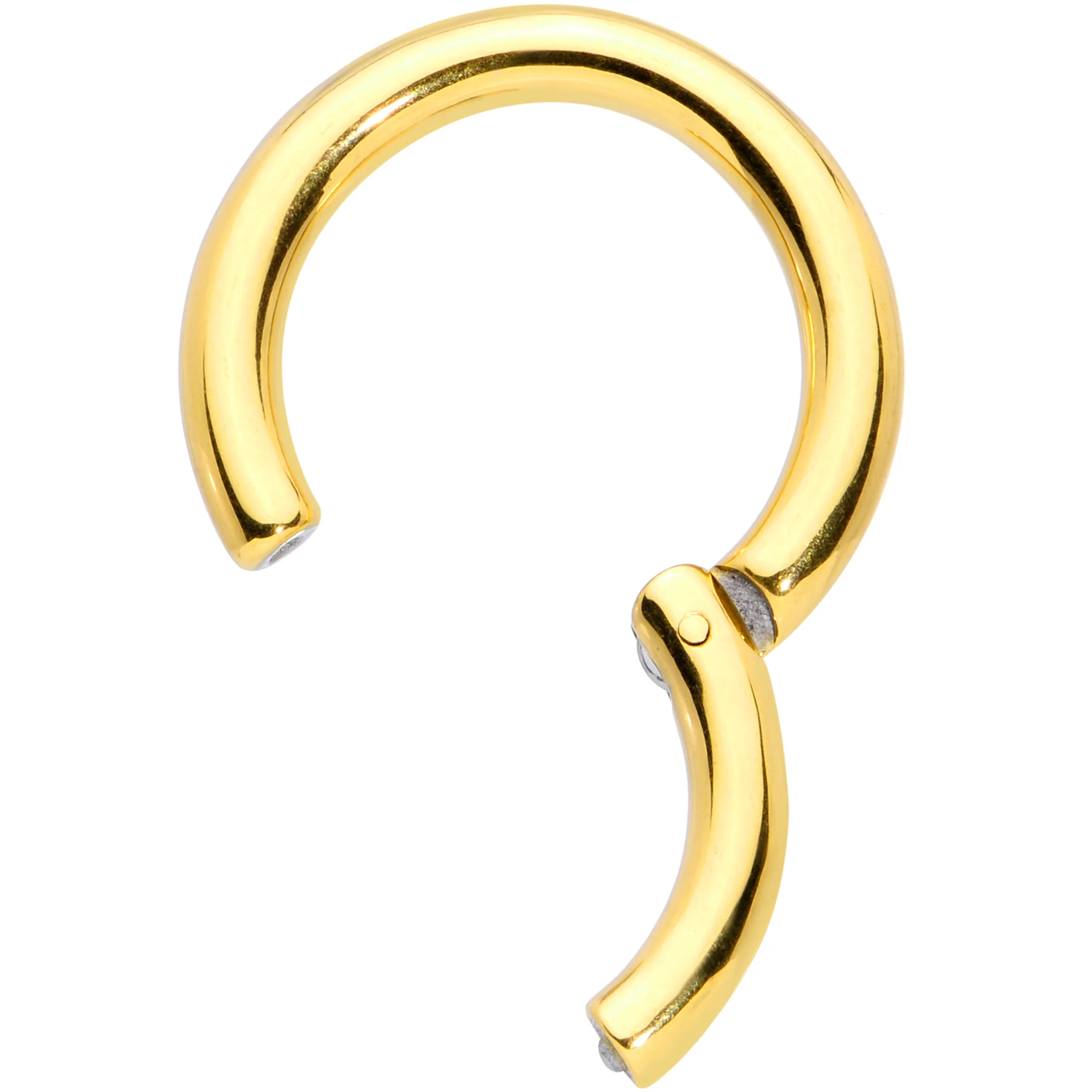 8G 5/8 Gold Tone PVD Steel Hinged Segment Ring - Image 2