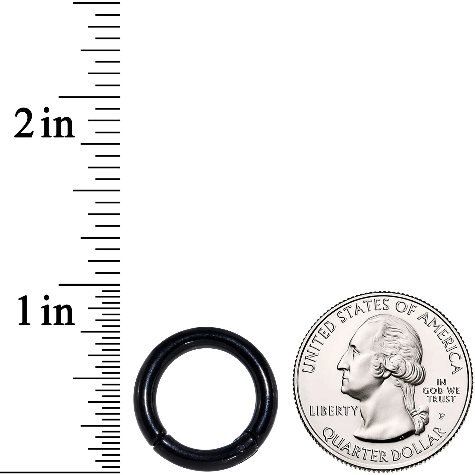 8G 9/16 Black PVD Steel Hinged Segment Ring - Image 3