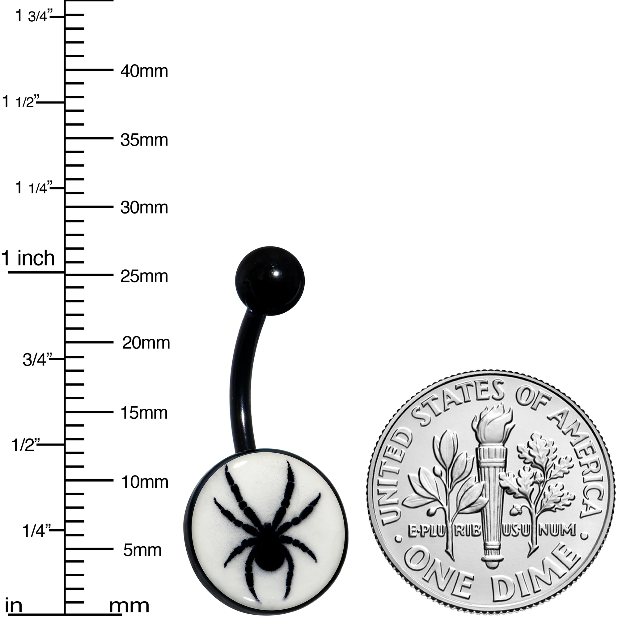Black Glow in the Dark Black Widow Spider Belly Ring by Onyx O - Image 3