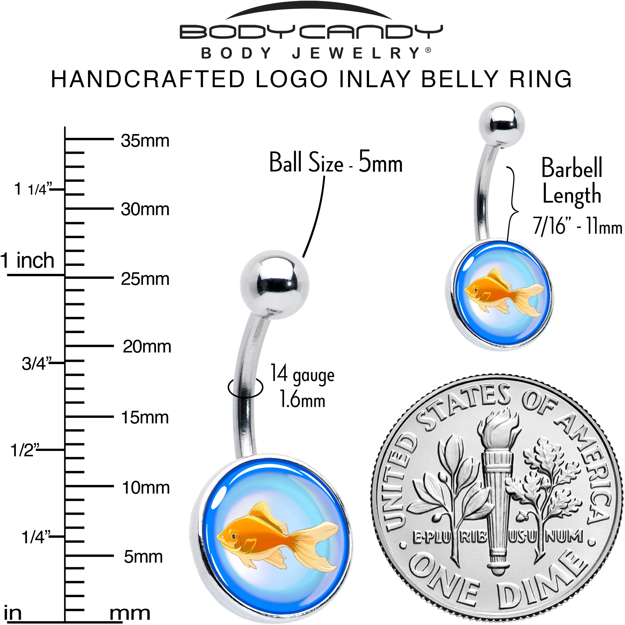 Gold Fish Belly Ring by Onyx O - Image 6