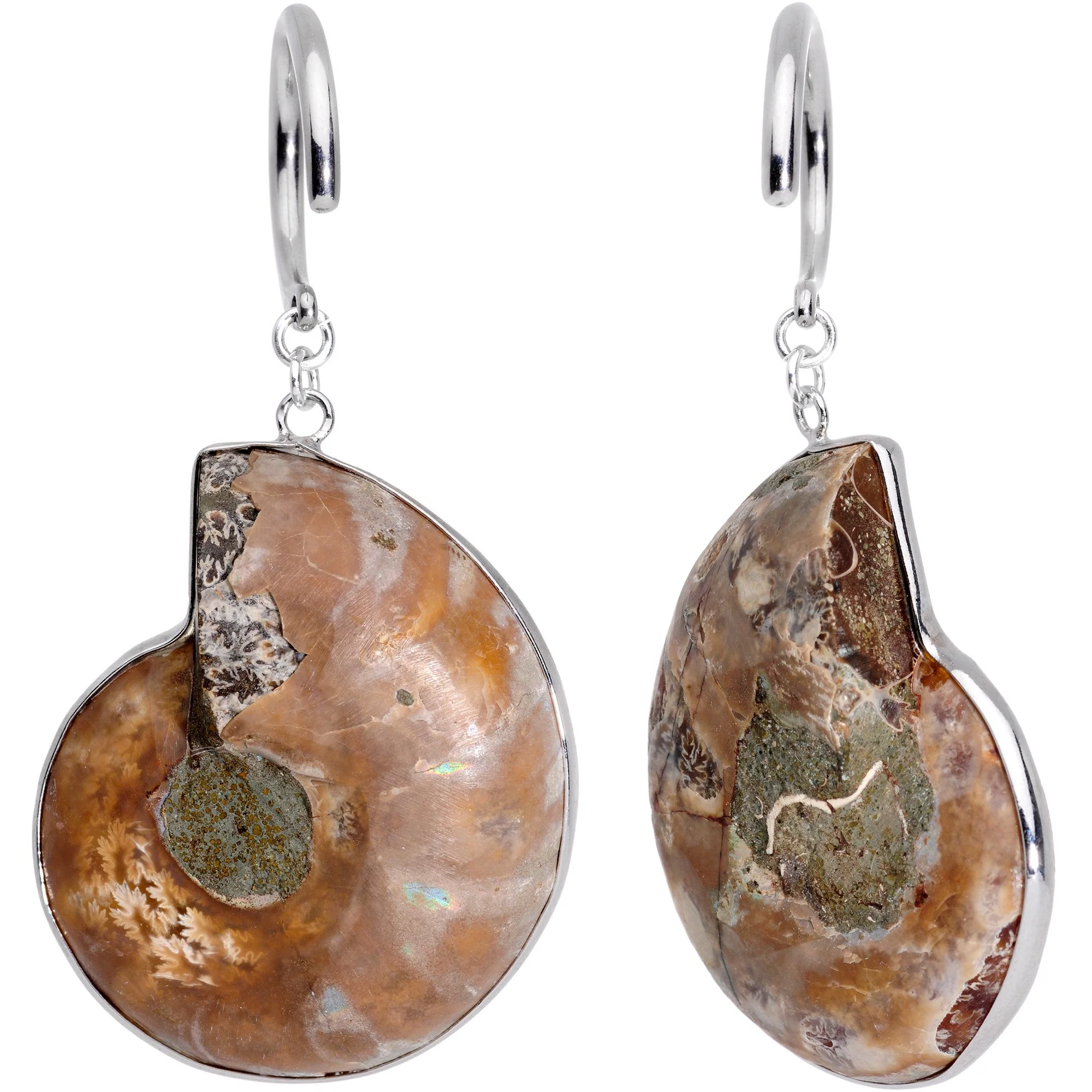 Handcrafted Spiral Ammonite Sea Fossil Ear Weights - Image 2