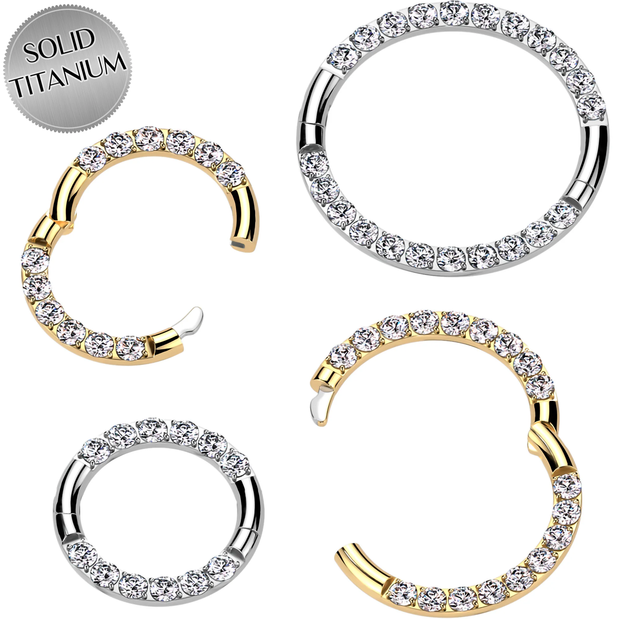 16G Implant Grade Titanium CZ Double Row Hoop Segment Ring - Image 3